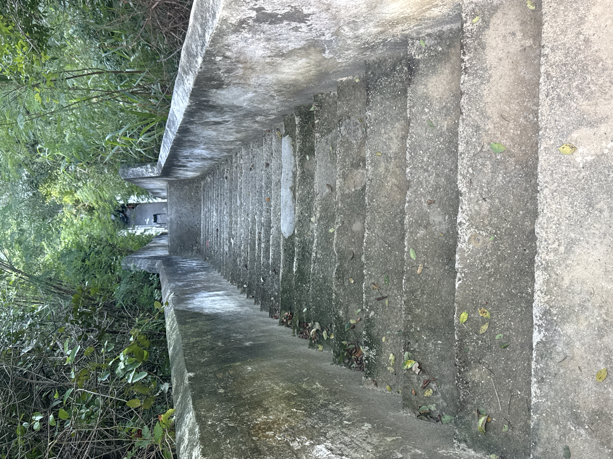 An outdoor perspective shot looks down a long, worn concrete staircase surrounded by dense green foliage. The staircase is a focal point, with each step showing signs of age and weathering. Leaves, both green and brown, are scattered across the steps and along the sides of the staircase, suggesting an autumnal or natural setting. The concrete walls flanking the stairs are also weathered, with visible stains and a slightly rough texture. At the top of the stairs, barely visible through the greenery, is a dark silhouette that appears to be a person, possibly ascending or descending. The overall environment suggests a secluded, natural pathway within a city park or a historical site.