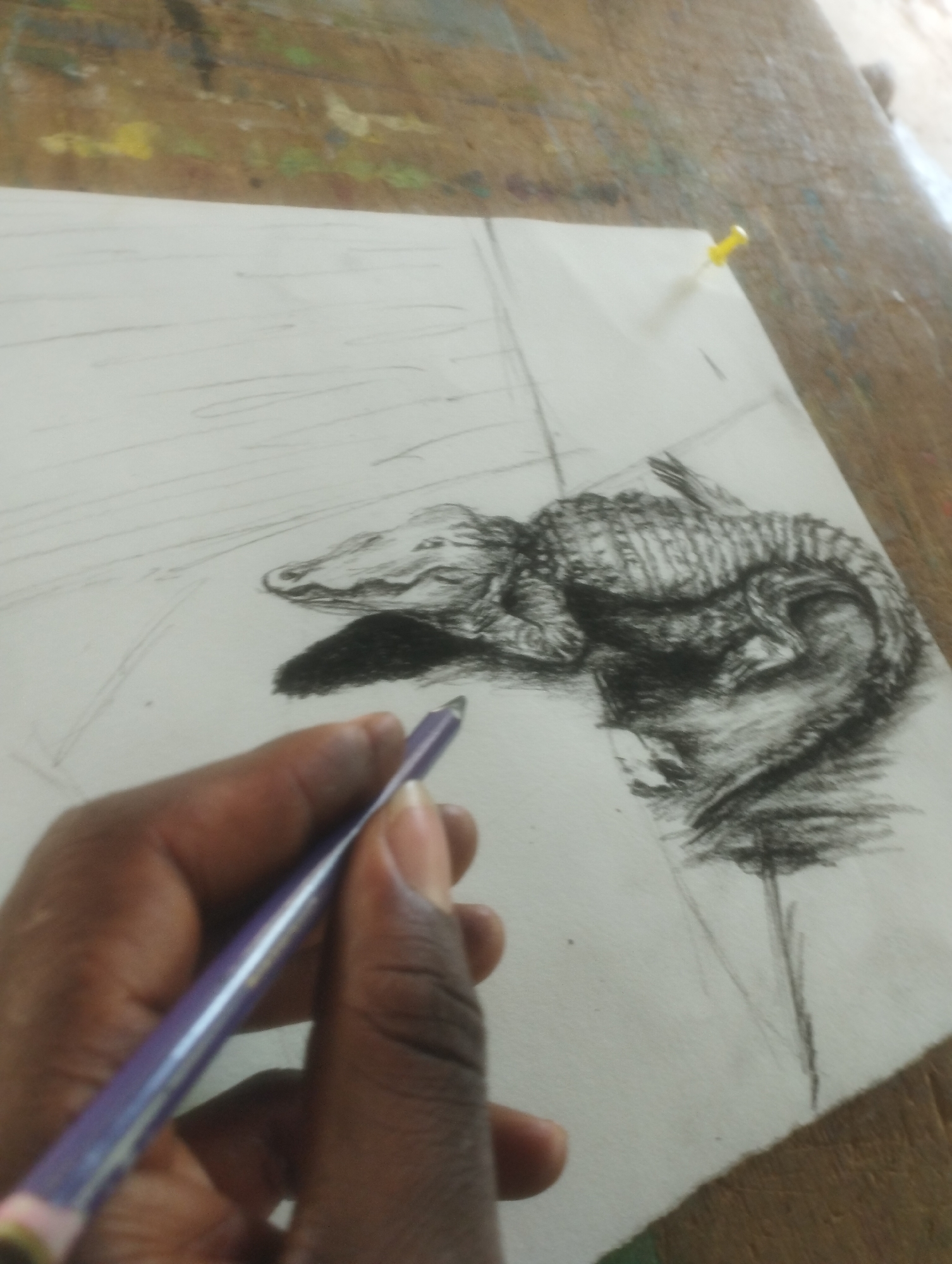 A hand holding a purple pencil is in the foreground, drawing a sketch of an alligator on a piece of white paper. The alligator is depicted with detailed scales and is lying down, partially curled up. The sketch is in progress, with some areas rendered in darker tones and others appearing as faint outlines. The paper is secured to a wooden surface with a yellow pushpin. The wooden surface appears to be a table or workbench, with splotches of paint in various colors visible on it, suggesting an art studio or a crafting area. The lighting suggests daytime, but no specific weather conditions can be determined. The overall scene conveys a sense of focused artistic creation.