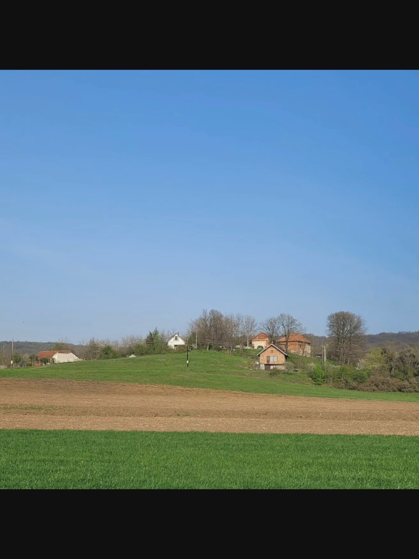The image displays a rural landscape under a clear blue sky. In the foreground, there are two distinct fields: one with vibrant green grass and another with a lighter brown, tilled soil. Beyond these fields, a gentle grassy slope rises, dotted with several small buildings that appear to be houses or farm structures. These buildings are a mix of brick and white exteriors, some with visible windows and red-tiled roofs. A few trees, some bare and others beginning to show spring foliage, are scattered across the hillside. In the distance, a range of tree-covered hills forms the horizon. The overall scene evokes a peaceful, agricultural setting. There is no indication of the city of Bielawska Wieś, Poland, in this image.