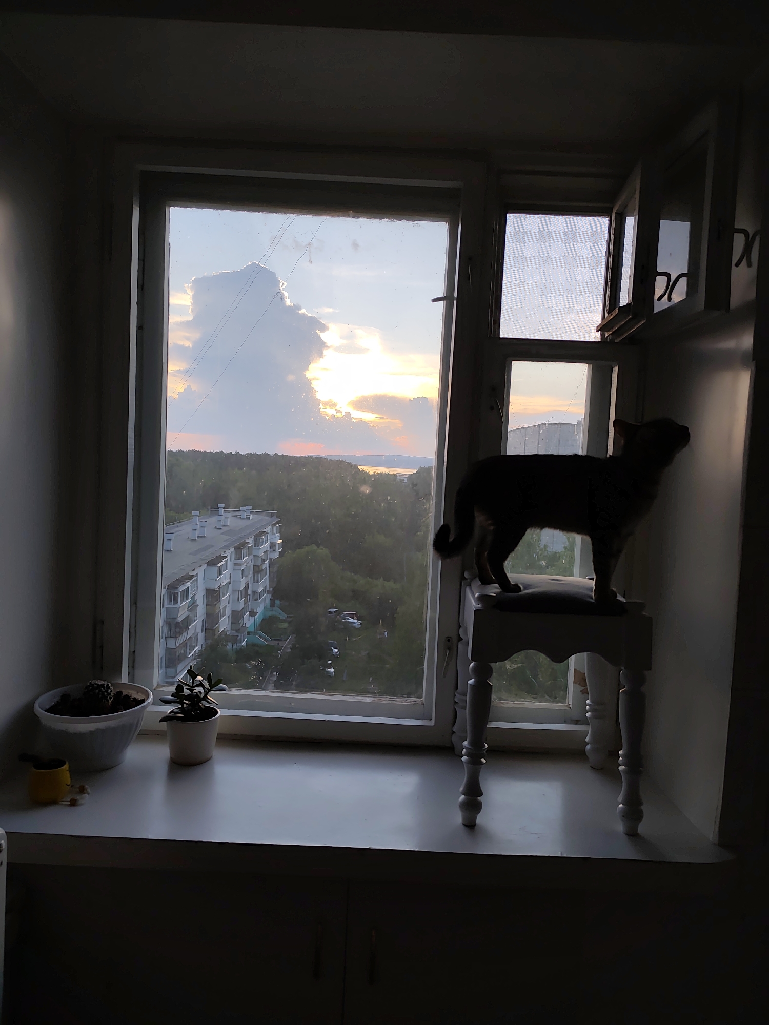 A silhouetted cat stands on a small, white, decorative stool on a windowsill in an apartment in Chaikovsky, Russia. The cat is facing away from the viewer, looking out the window at a sunset scene. Outside the window, there is a view of apartment buildings, trees, and a body of water. The sky is filled with dramatic clouds lit by the setting sun. On the windowsill in the foreground, there are two potted plants and a small yellow object. The overall lighting of the scene is dim, with the sunset providing the primary light source.