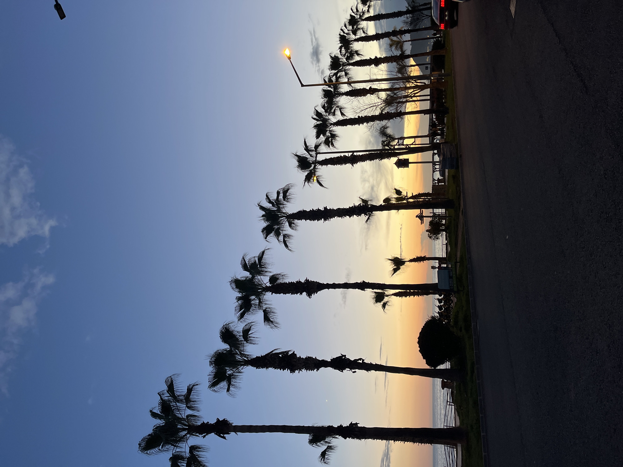 The image captures a line of palm trees silhouetted against a sky transitioning from blue to sunset hues, likely taken in Alanya, Turkey, though specific landmarks are not visible. The scene includes a street, part of a car, and a lit street lamp. The palm trees suggest a coastal environment. The scene appears calm and still, portraying a sunset view by the sea.
