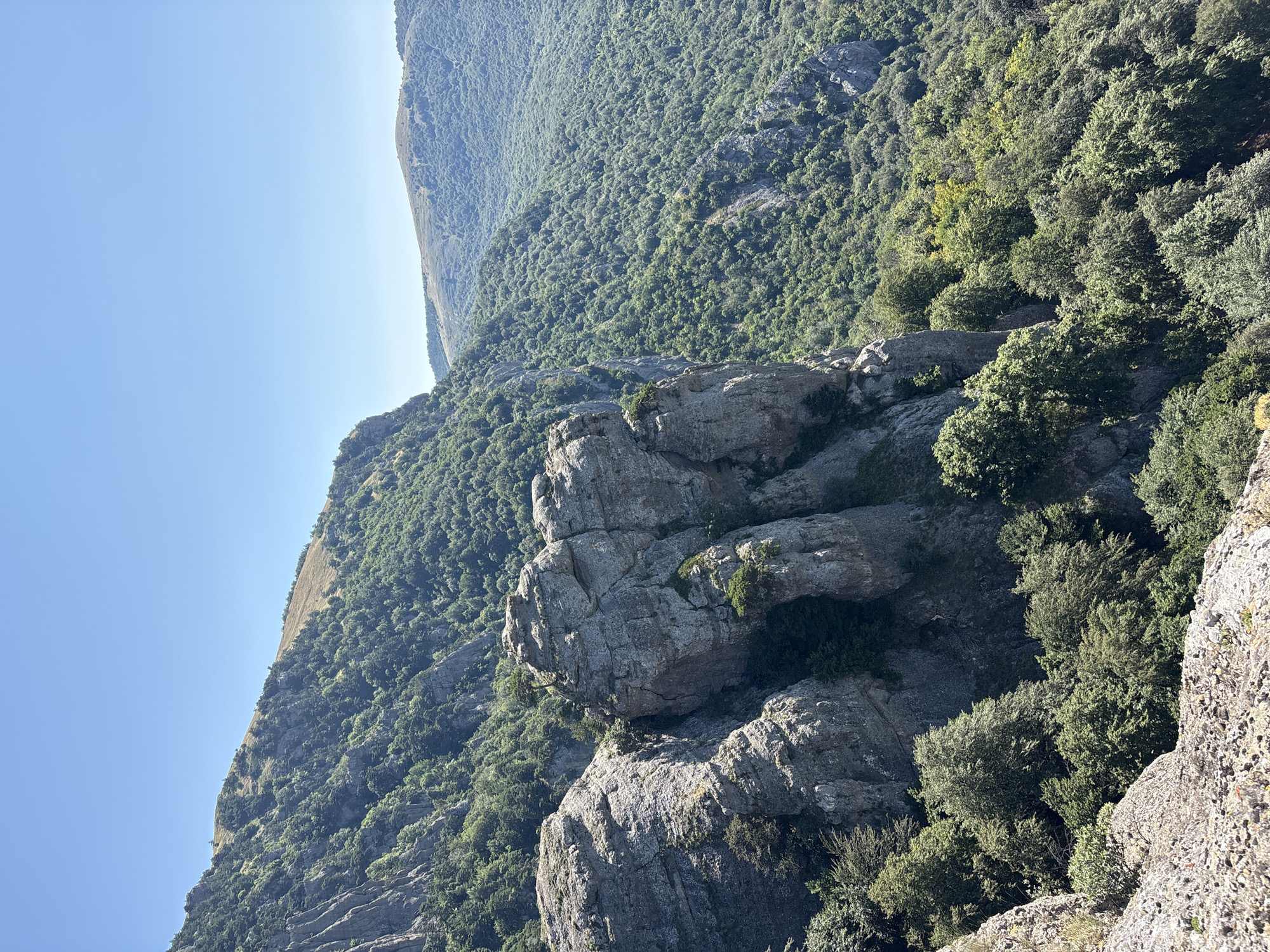 The image depicts a vast, verdant mountain landscape under a clear blue sky. In the foreground, imposing gray rock formations dominate, some with sheer, rugged faces and others appearing more weathered and layered. Small trees and shrubs cling to the rocky outcrops, their greenery stark against the stone.
Beyond the immediate rocky terrain, the mountainside slopes downward, covered in a dense blanket of lush green trees. This forest stretches across the middle ground and into the background, forming rolling hills that fade into the distance. The trees appear healthy and vibrant, indicating a thriving natural environment.
In the far distance, gentler, more rounded hills are visible, also covered in vegetation, though appearing less dense than the closer slopes. The overall impression is one of a remote, natural setting characterized by steep cliffs, dense forests, and expansive mountainous terrain. The scene is devoid of any man-made structures or human presence.