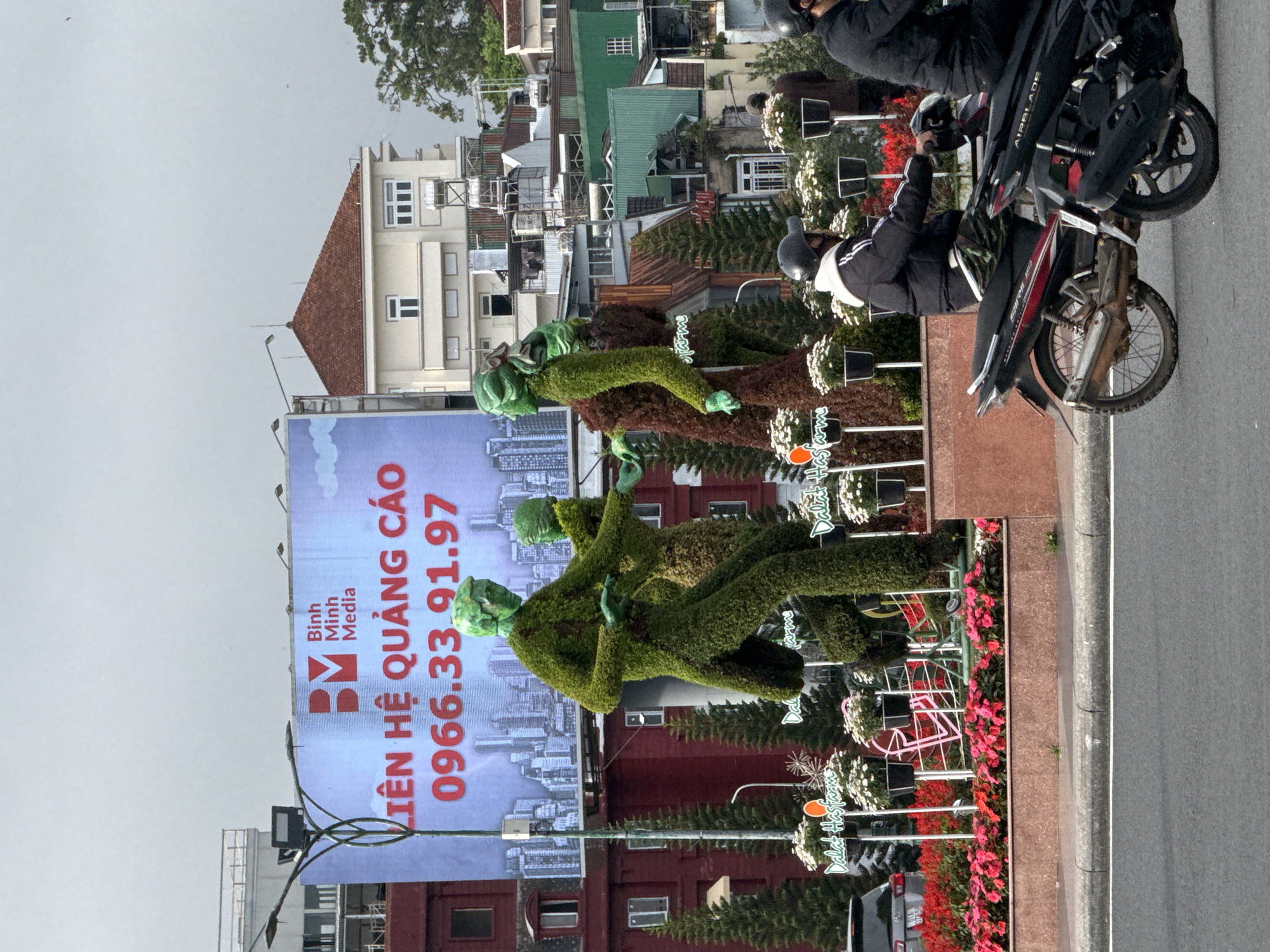 An outdoor street scene in Da Lat, Vietnam, showcases a vibrant mix of urban life and decorative landscaping. In the midground, several large, lush green topiary sculptures, meticulously shaped into human figures striking various poses, serve as prominent artistic displays. These are surrounded by flower beds and potted plants featuring an array of white and red blooms, with small signs bearing text like "Dalat Hasfarm" and "Dalat Farm" scattered throughout.
Behind these horticultural arrangements, a large blue billboard dominates the left side of the frame, displaying Vietnamese text. Visible on the billboard are "BM," "Bình Minh Media," "LIÊN HỆ QUẢNG CÁO" (Contact for Advertising), and a phone number "0966.33.91.97."
In the background, a cluster of residential and commercial buildings with varying architectural styles, including some with distinct red tiled roofs, lines the street. The sky above appears overcast or hazy, suggesting daytime conditions.
On the right side of the image, a paved road features two individuals on motorcycles. One motorcycle is black and prominently displays "AIRBLADE," while another red and black motorcycle has "SIRIUS" partially visible. Both riders are wearing helmets and dark jackets, indicating everyday travel. The scene captures a typical moment in a bustling Vietnamese city, enhanced by public art and natural beauty.