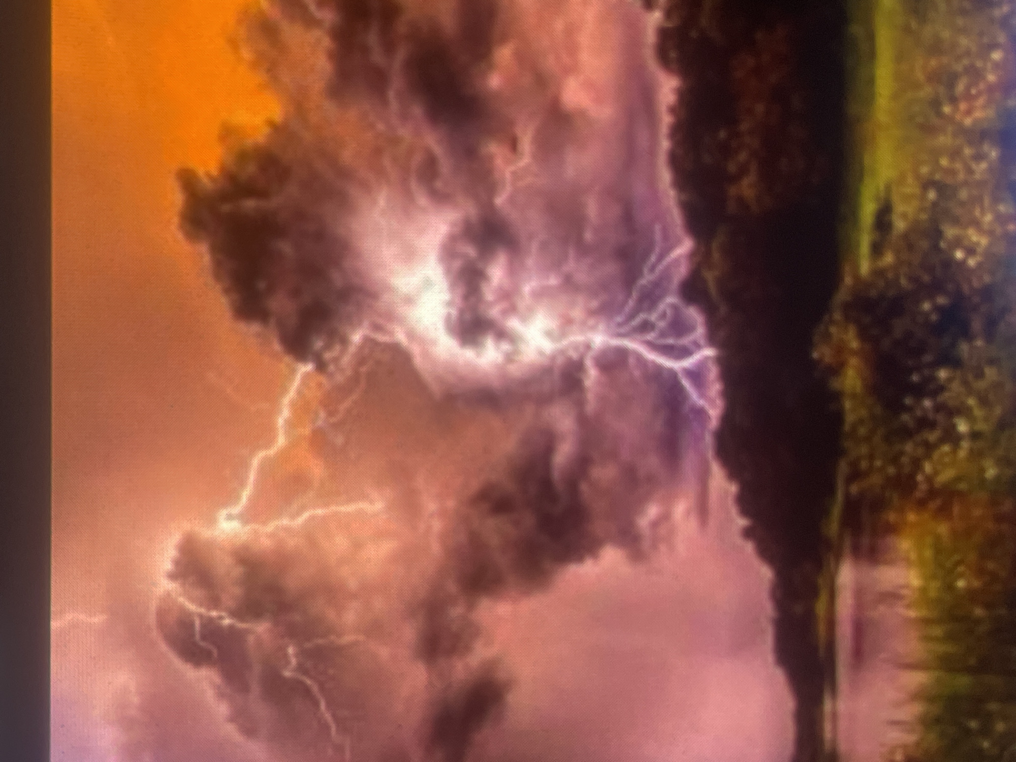 A dramatic natural landscape depicting a severe lightning storm is presented. The scene is set in the environment of Zelenyi Hai, Ukraine. The sky is dominated by dense, tumultuous clouds, which are intensely illuminated from within and behind. Colors transition from bright orange and yellow in the upper right quadrant to deep pink and purple across the central and left areas. Multiple streaks of vivid white and purple lightning are visible, with a prominent, forked bolt descending in the lower-central-left portion of the frame. Below the storm clouds, a dark, dense treeline spans the middle ground, indicating a wooded area. To the left, a calm body of water, likely a river or lake, reflects the purplish hues of the sky. The immediate foreground consists of blurred natural vegetation, appearing as grasses or bushes, with tones of green and yellow-brown. No human figures, animals, man-made structures, or specific objects are present. No actions or interactions are discernible within the frame.