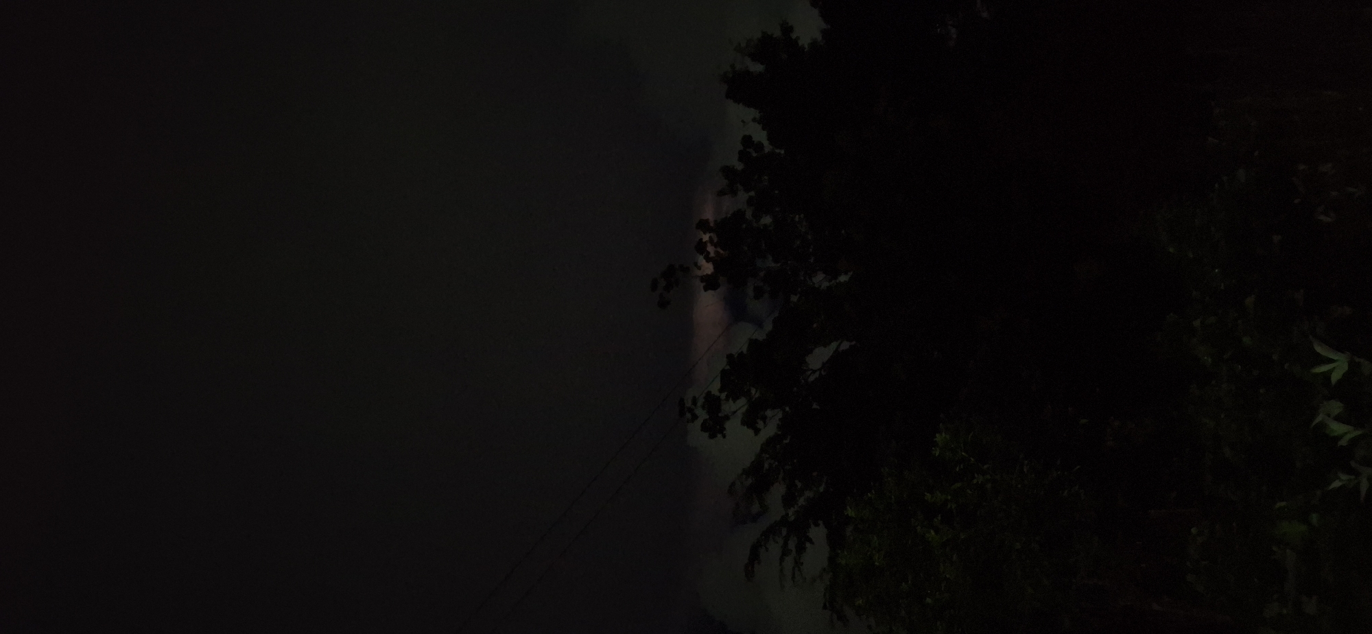 The image depicts a dark, cloudy sky over a silhouetted treeline, suggestive of nighttime or twilight conditions. A faint glow is visible in the sky, possibly from ambient city lights or lightning. Power lines are faintly visible against the darker sky. The foreground consists of dense, dark foliage, indicating a natural or overgrown area. The scene appears to be outdoors.