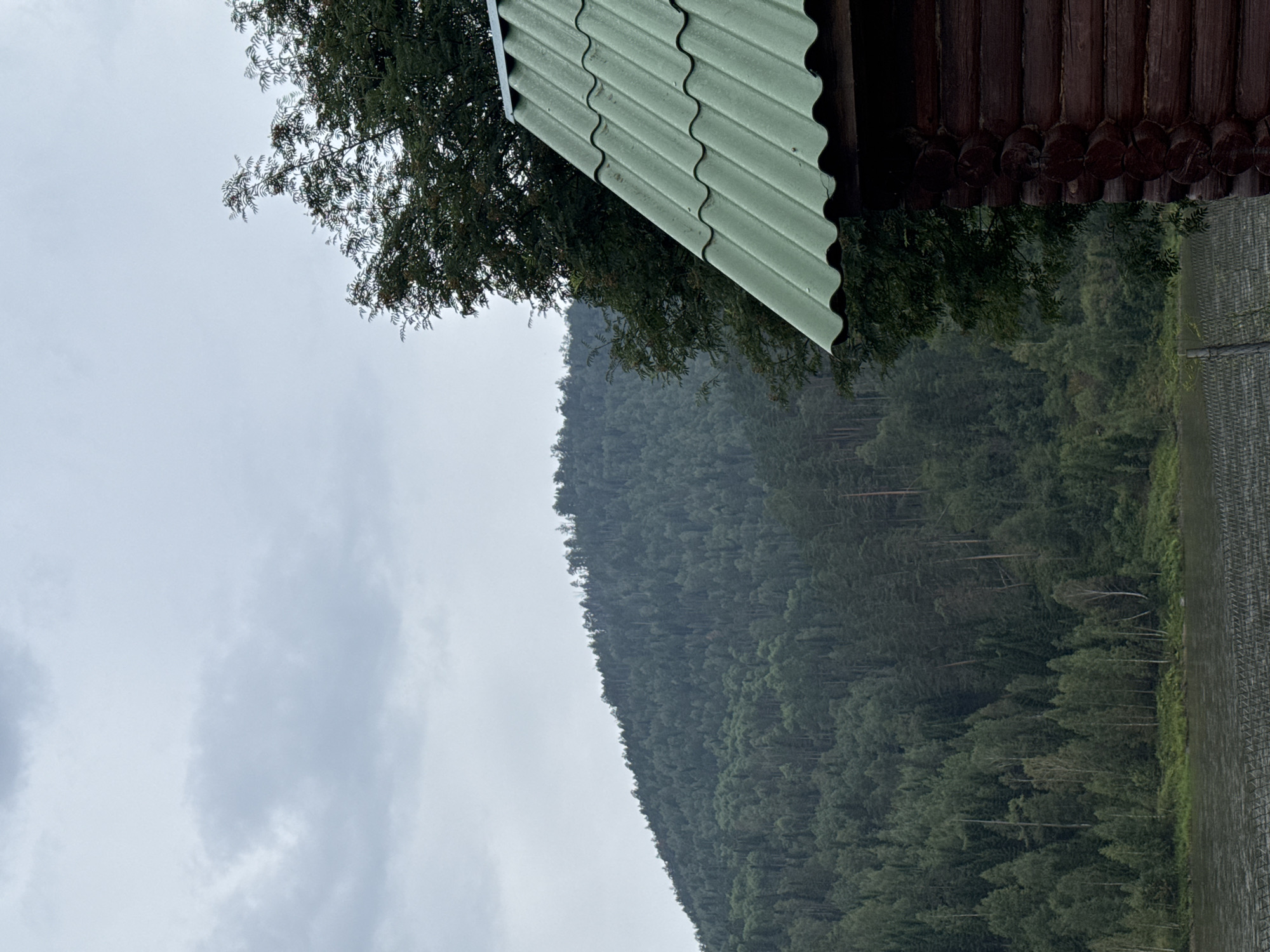 The image depicts a scenic view of a dense forest-covered mountainside and a body of water, likely a river, in Ust-Mana, Russia. In the foreground, a portion of a rustic log cabin with a green corrugated roof is visible on the right side of the frame. A large tree with dark foliage stands to the left of the cabin, partially obscuring the mountain. The sky is overcast with gray clouds. A fence with a diamond pattern is situated along the edge of the water in the lower part of the image.