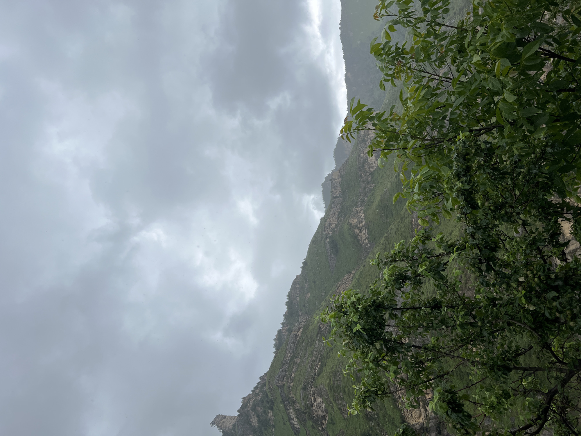 An overcast sky looms over a lush green mountain landscape. The mountain range is characterized by rugged, layered rock formations partially covered in vegetation. In the foreground, dense green trees obscure the lower portion of the image, with some appearing to be laden with fruit. The overall impression is one of a wild, natural environment under a moody, cloudy sky. The scene is located in Assab, Russia.