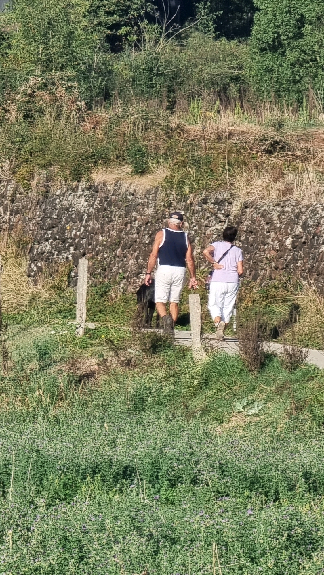 The image shows a man and a woman walking on a paved path in a natural, rural setting. The man, on the left, is wearing a dark sleeveless shirt, white shorts, and a baseball cap. He appears to be walking a black dog. The woman, on the right, is wearing a light purple shirt and white pants. She is holding a walking stick. They are walking away from the camera, towards a stone wall covered in vegetation. The path is bordered by greenery and rocks. The overall environment suggests an outdoor trail or park. The location is specified as Sant Joan Les Fonts, Spain.