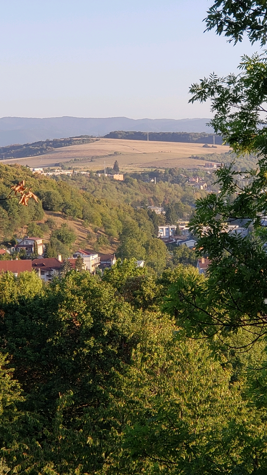 The image shows a panoramic view of a suburban area on a hillside, likely in Prešov, Slovakia. The foreground is dominated by lush green trees with some dry, brown leaves visible on a branch in the upper left. The middle ground reveals a residential area with scattered houses and apartment buildings nestled into the sloping terrain, surrounded by more greenery. The houses feature various architectural styles, with red-tiled roofs and white or light-colored facades. In the background, rolling hills covered in dry, golden fields stretch towards distant blue mountains under a clear, bright sky. Power lines and cell towers are visible on the horizon. The scene captures a tranquil, natural setting with a human settlement integrated into the landscape. The time of day appears to be late afternoon or early evening, given the warm light and long shadows. No people are visible in the image.