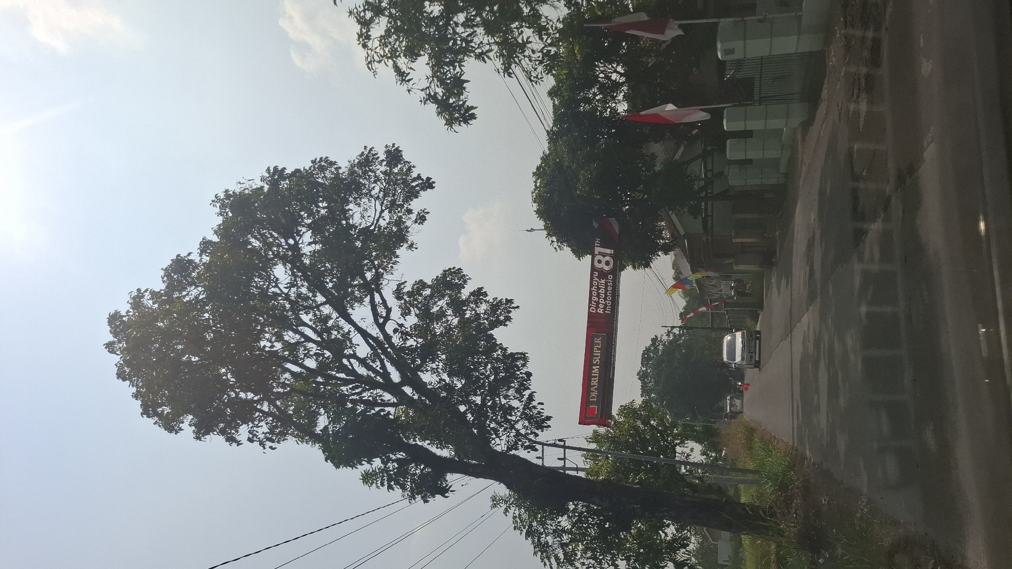 The image depicts a street scene in Sukasari, Indonesia, under a hazy, bright sky. A large tree with dense foliage dominates the left side of the frame, its branches extending over a road. A banner is strung across the road, reading "DJARUM SUPER Dirgahayu Republik Indonesia 81st". On the right side of the road, a fence painted in light green borders a property with a building partially visible. Several Indonesian flags, red and white, are displayed on poles along the fence. A silver car is traveling away from the camera on the road, and another vehicle is visible further in the distance, also moving away. The road surface shows reflections, suggesting it may be wet. The environment appears to be a rural or semi-urban area, with vegetation and houses lining the street.