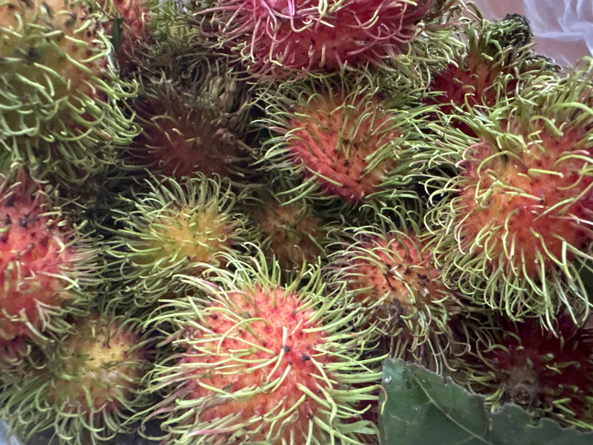 A close-up, overhead shot displays a cluster of rambutans, a tropical fruit, in a market stall in Nha Trang Ward, Vietnam. The rambutans are characterized by their red, spiky skin with green tendrils, and some exhibit yellowish hues. The fruits are densely packed, creating a textured surface. In the lower left corner, a green leaf is visible. The background is dark, suggesting a shadowed area within the market. The lighting appears natural, highlighting the vibrant colors of the fruit.