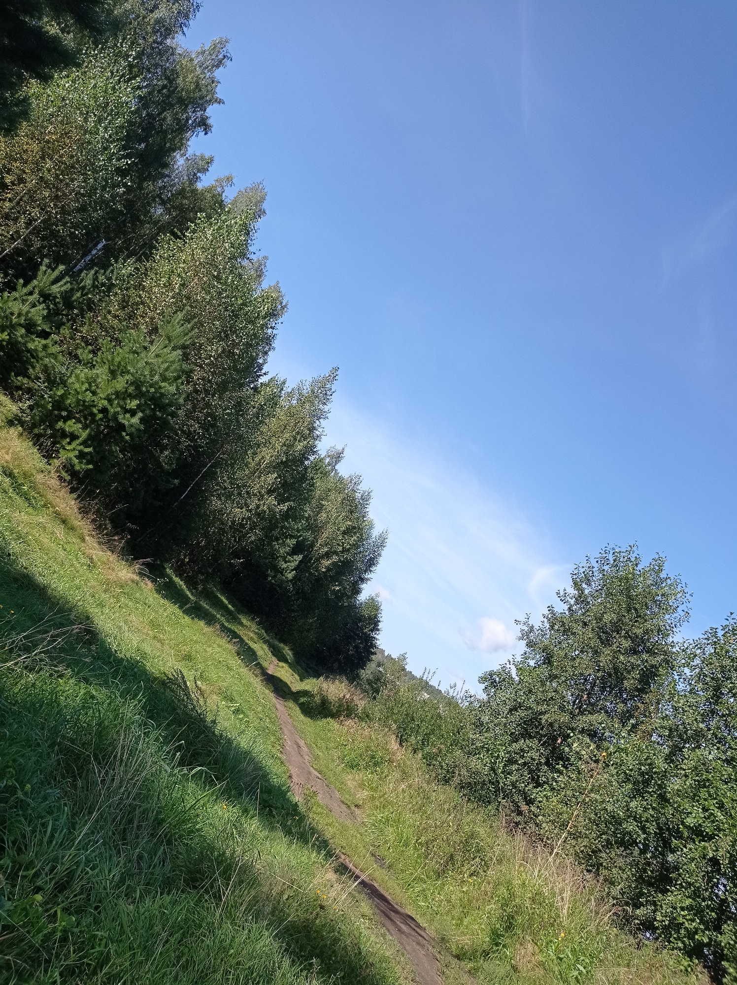 This is a sunny, outdoor, landscape photograph taken in Degtyarsk, Russia. The image depicts a dirt path winding uphill through a grassy slope bordered by trees on the left. The sky above is a clear, vibrant blue with a few wispy clouds. The foliage on the left consists of a dense line of deciduous and coniferous trees, some appearing to be birches with their distinctive white bark. On the right side of the path, further up the slope, is a cluster of mature deciduous trees with full, green canopies. The grass on the slope is a mixture of green and dried stalks, suggesting late summer or early autumn. The sunlight casts strong shadows across the grassy incline, indicating the time of day is likely midday or early afternoon. There are no people or animals visible in the scene.