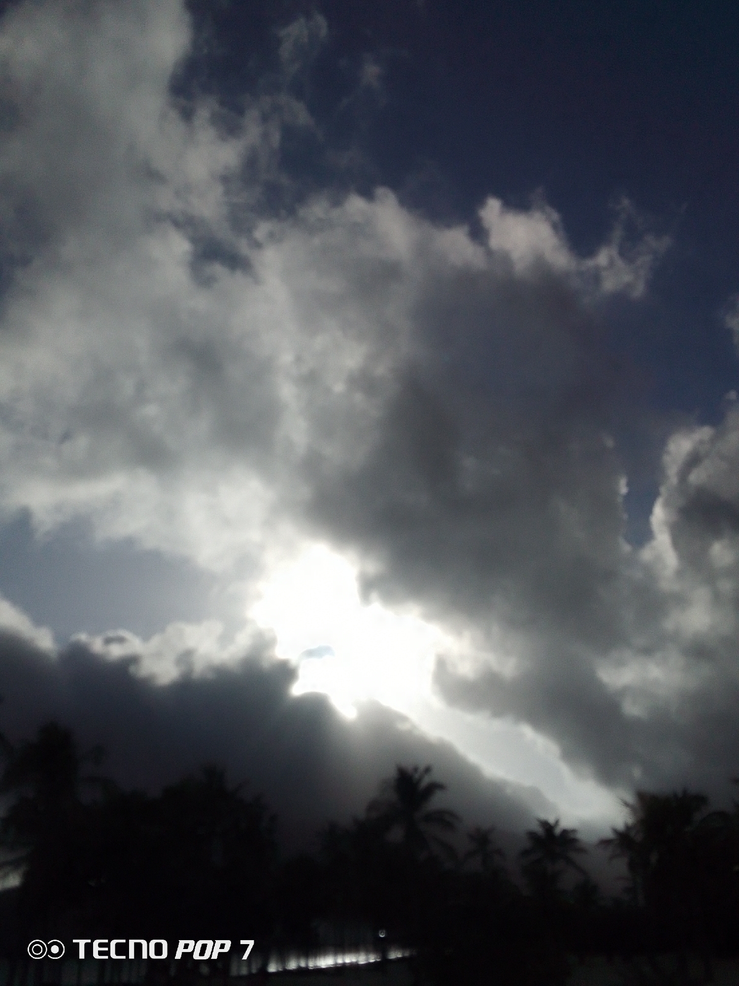The image, captured with a TECNO POP 7 device, depicts a cloudy sky above the silhouette of trees, likely palm trees. The sky is predominantly covered with grey and white clouds, obscuring the sun and creating a bright, illuminated spot in the cloud cover. The lower portion of the image shows dark, silhouetted trees against the bright sky. The location is likely Pedro González, Venezuela, based on the prompt.