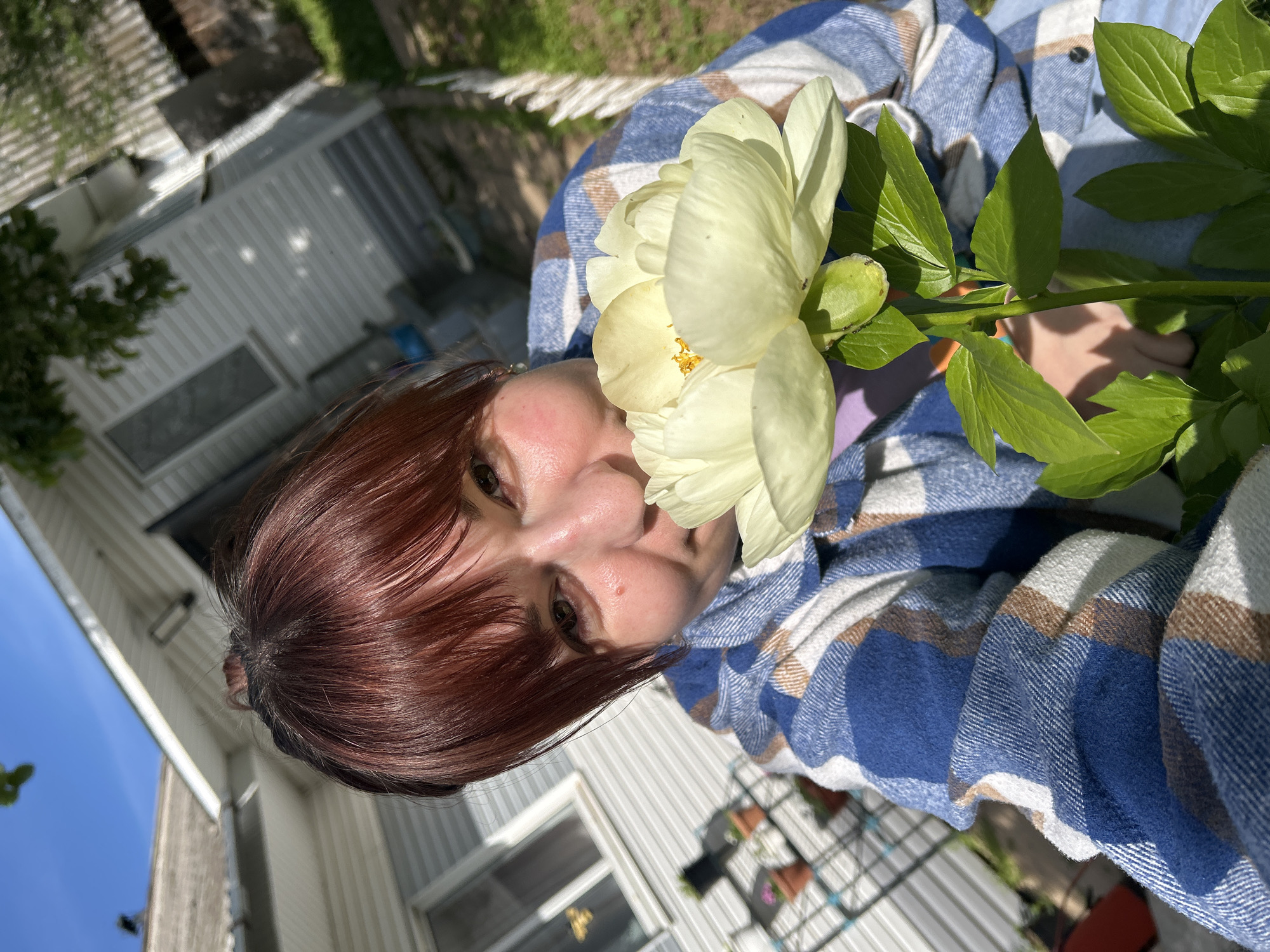 The image captures a person posing outdoors, holding a large, pale yellow flower with prominent golden stamens, likely a peony. The individual has reddish-brown hair and is wearing a blue, white, and brown plaid shirt or jacket. The flower is held close to the person's face, partially obscuring the lower half, with their dark eyes looking towards the camera.
The setting appears to be a sunny outdoor residential area in Фоки, Russia, possibly a backyard or garden. In the background, a white-sided building, resembling a house or mobile home, is visible. Green foliage, including tree leaves and grass, is present, indicating clear weather and bright daylight, as suggested by the strong shadows and blue sky. One of the cropped views shows a metal rack or shelf with small potted plants, further defining the garden context. No text is visible in the image. The photograph is tilted significantly, almost 90 degrees clockwise, giving a unique perspective.