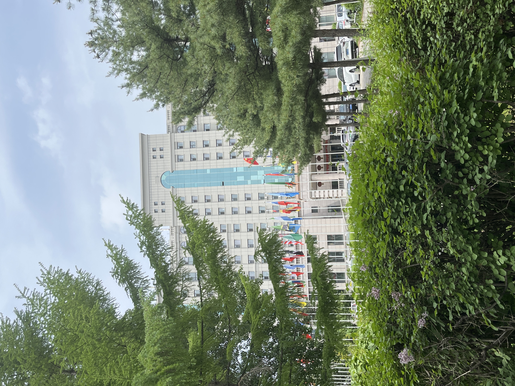 The image shows an urban landscape in Changchun City, China. A tall, multi-story building with a distinctive central blue glass section is visible behind a line of trees and shrubbery. The building is adorned with numerous international flags displayed along its facade. Cars are parked in the background behind a white fence. The sky is overcast.
