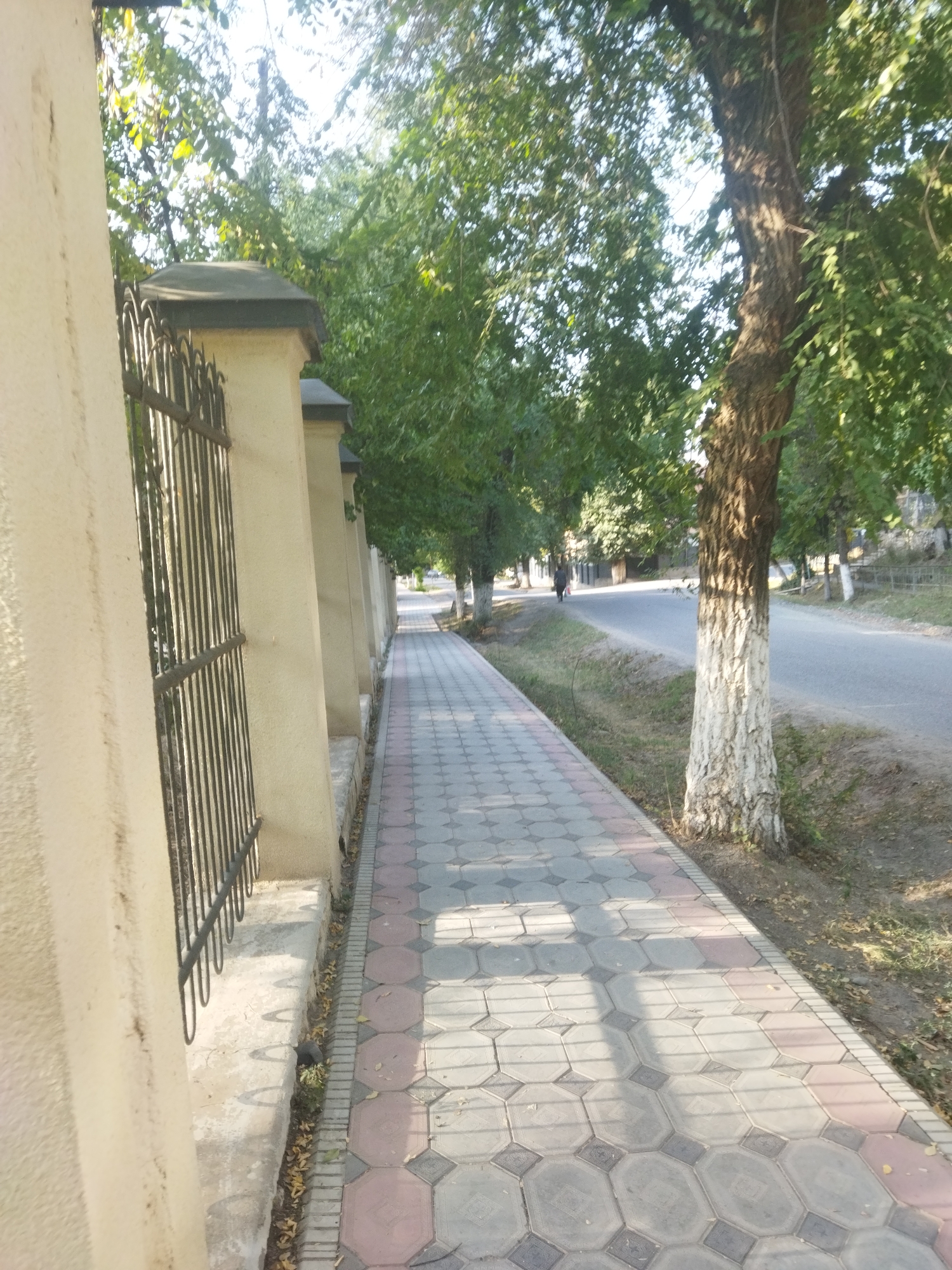 A person walks down a paved sidewalk next to a road lined with trees in Mailuu-Suu City, Kyrgyzstan. The sidewalk is made of interlocking hexagonal and square pavers in shades of gray and pink. A stone wall with a black wrought-iron fence runs along the left side of the sidewalk. The road is paved with asphalt and is bordered by a grassy verge and more trees. The sun is shining, casting shadows on the sidewalk. The overall scene is peaceful and suburban.