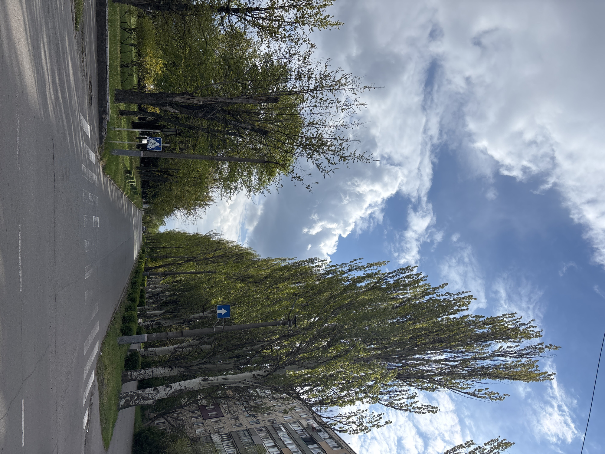 The image depicts a street scene in an urban area. The road runs lengthwise, flanked by trees on both sides, their foliage partially obscuring the sky. A zebra crossing is visible on the left side of the road. Traffic signs are erected on poles along the street. A multi-story residential building is seen adjacent to the road on one side. The sky is partly cloudy with patches of blue.