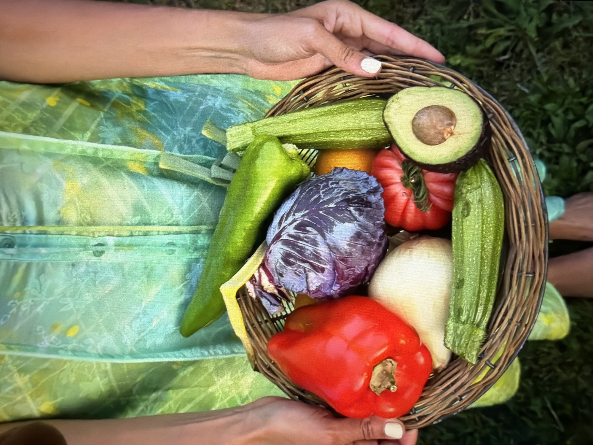 A person is depicted holding a woven wicker basket filled with a vibrant assortment of fresh vegetables. The hands holding the basket have white-painted fingernails and are positioned on either side of the basket. The person is wearing a light green garment, possibly a dress or skirt, with a subtle patterned design.
The basket overflows with produce, including a bright red bell pepper, a long green pepper, a small head of red cabbage, a white onion, a halved avocado with its pit visible, two green zucchinis of varying lengths, and a distinctive ribbed red tomato. A small yellow citrus fruit is also partially visible amongst the vegetables.
The setting appears to be outdoors, with a blurred green background resembling grass or moss, suggesting a natural environment. The lighting is bright and natural, indicating a daytime scene. The arrangement of the vegetables suggests a fresh harvest or a display of garden-grown produce. The overall atmosphere conveys abundance and natural health. No visible text is present in the image. The scene is set in Ros Na Rí, Ireland.