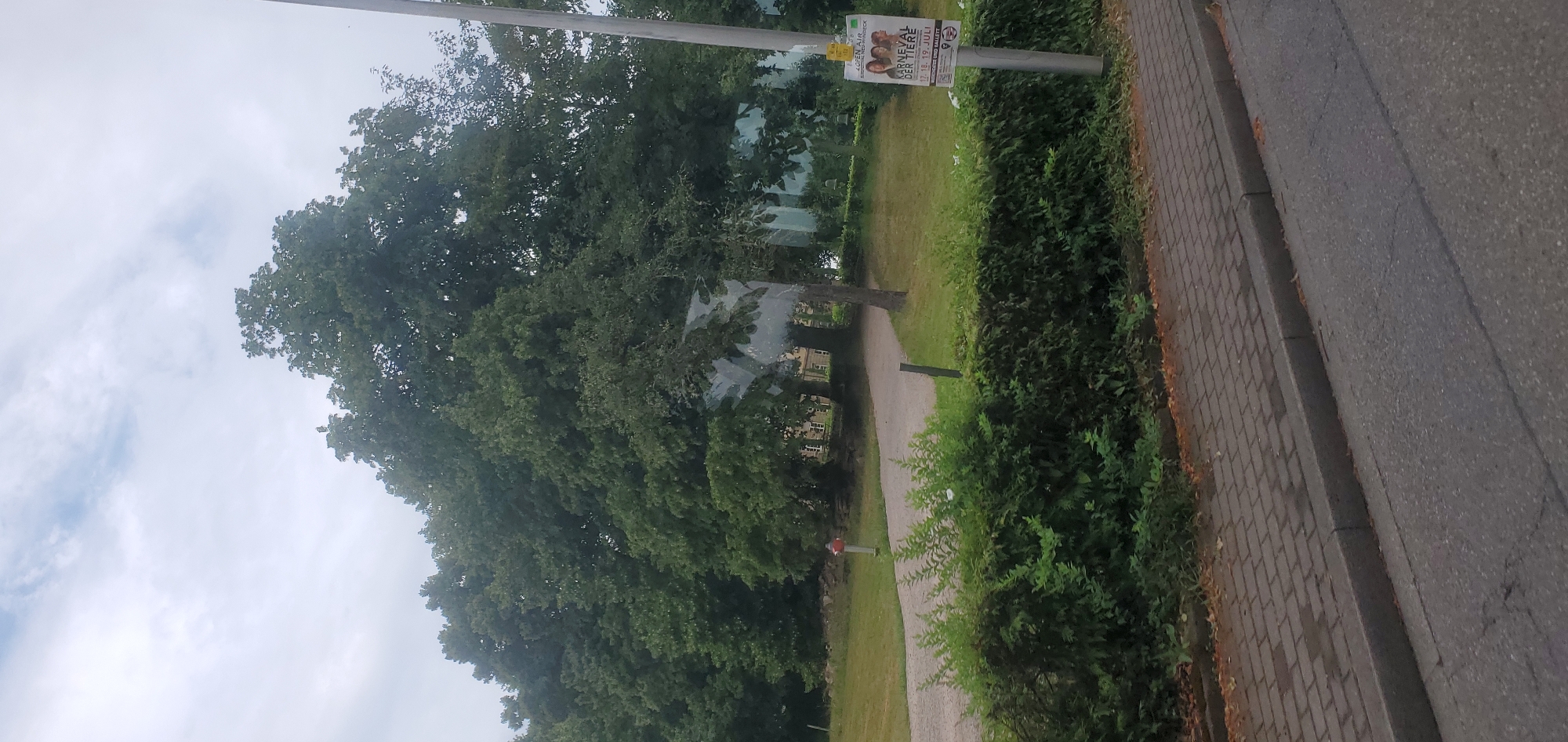 The image depicts an outdoor scene in Sasbach, Germany, likely during the daytime on a cloudy or overcast day. The perspective is a low-angle shot, looking upwards and to the right, with the image rotated.
The foreground features a paved walkway or sidewalk bordering a street. The walkway is made of light-colored rectangular pavers, with some dry leaves scattered on the edges. Adjacent to the walkway is a dense, green hedge, and beyond that, a grassy area. Further into the scene, large, mature trees with lush green foliage dominate the view. One tree in particular is very prominent, with its branches spreading widely. In the background, a building with visible windows can be seen through the trees.
A lamppost stands to the right of the walkway, and a poster is attached to it. The poster advertises an event called "KARNEVAL DER TIERE" (Carnival of Animals), with dates "18. + 19. JULI" (July 18th and 19th) and text mentioning "MUSIK UND BALLETT" (Music and Ballet). There are also smaller yellow signs attached to the lamppost.
The overall atmosphere is serene and natural, with the focus on the greenery and the outdoor environment. There are no people clearly visible in the image.