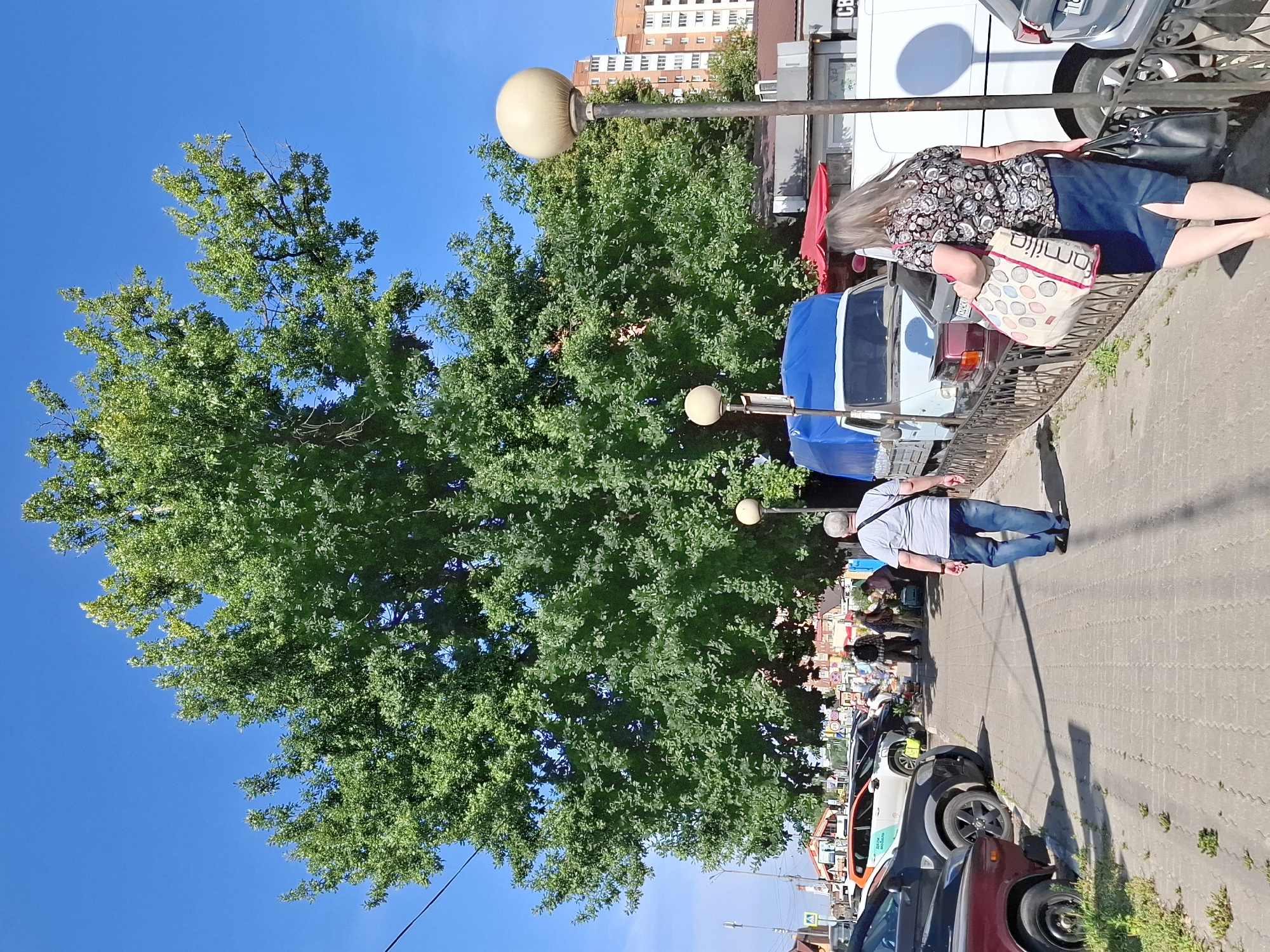 A street scene unfolds under a clear blue sky. A large, leafy green tree dominates the background, its branches reaching wide. To the right of the tree, a multi-story building with orange and white accents is visible. In the foreground, a paved sidewalk runs parallel to a street lined with parked cars. A few people are walking on the sidewalk, and some are gathered near market stalls. A man in a blue shirt and jeans walks away from the camera, his back to the viewer. A woman with long, graying hair, wearing a patterned shirt and a blue skirt, walks towards the camera, carrying shopping bags. A white truck with a blue tarp is parked on the street, alongside several cars. Two lampposts with spherical lights stand on the sidewalk. The scene appears to be a market or a bustling street in a town or city.