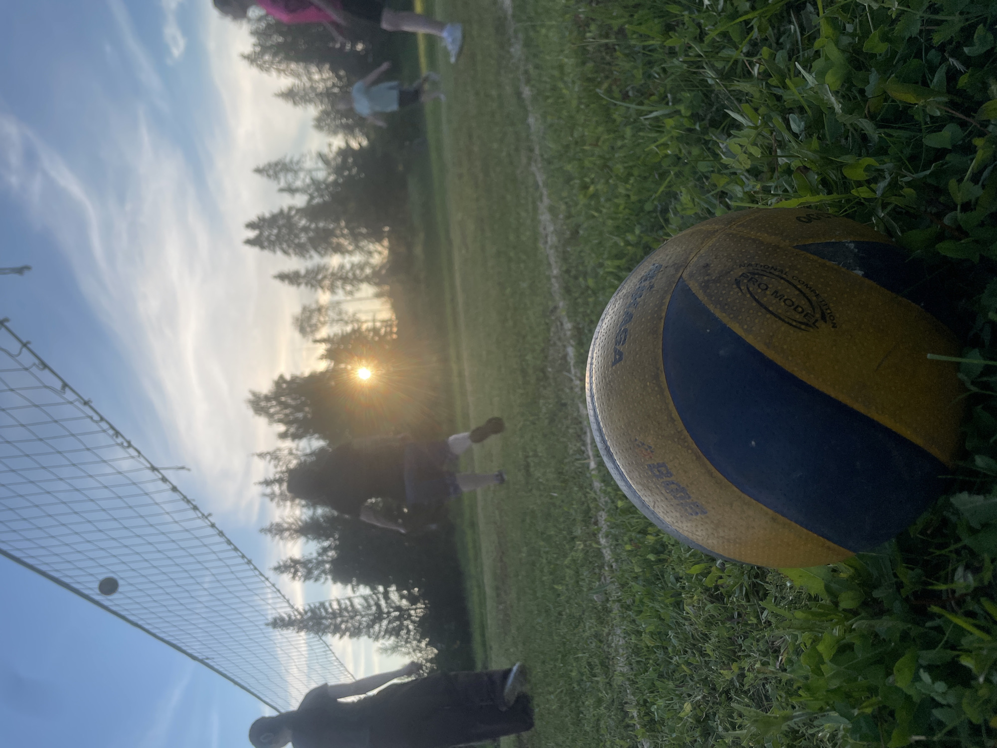 The image depicts a volleyball game taking place on a grassy field during sunset. In the foreground, a volleyball lies on the grass. A net is visible in the background, with a volleyball in the air above it. Several people are playing volleyball, with some in motion and others observing. The sun is setting behind a line of trees, casting a warm glow over the scene. The environment appears to be a park or recreational area within the city of Podshivalovo, Russia.