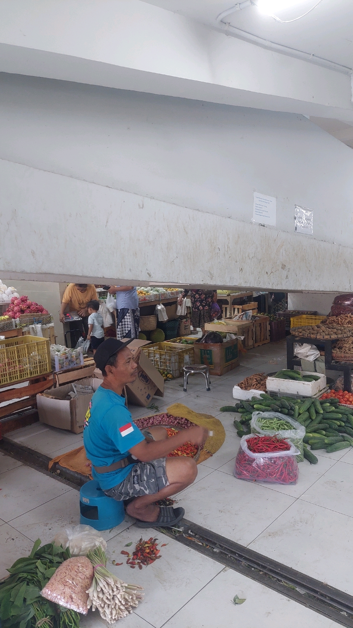 A man in a blue shirt and patterned shorts kneels on a blue stool in a market in Nologaten, Indonesia. He is sorting through a pile of red chili peppers in a large, yellow sack. Several bags of red chili peppers and green beans are visible on the floor next to him, along with a pile of lemongrass and some leafy greens. Behind him, other market stalls display a variety of produce, including cucumbers, tomatoes, and what appear to be dragon fruit and durian. People are visible in the background, browsing or working at their stalls. The market appears to be indoors, with a high, sloped ceiling and overhead lighting.