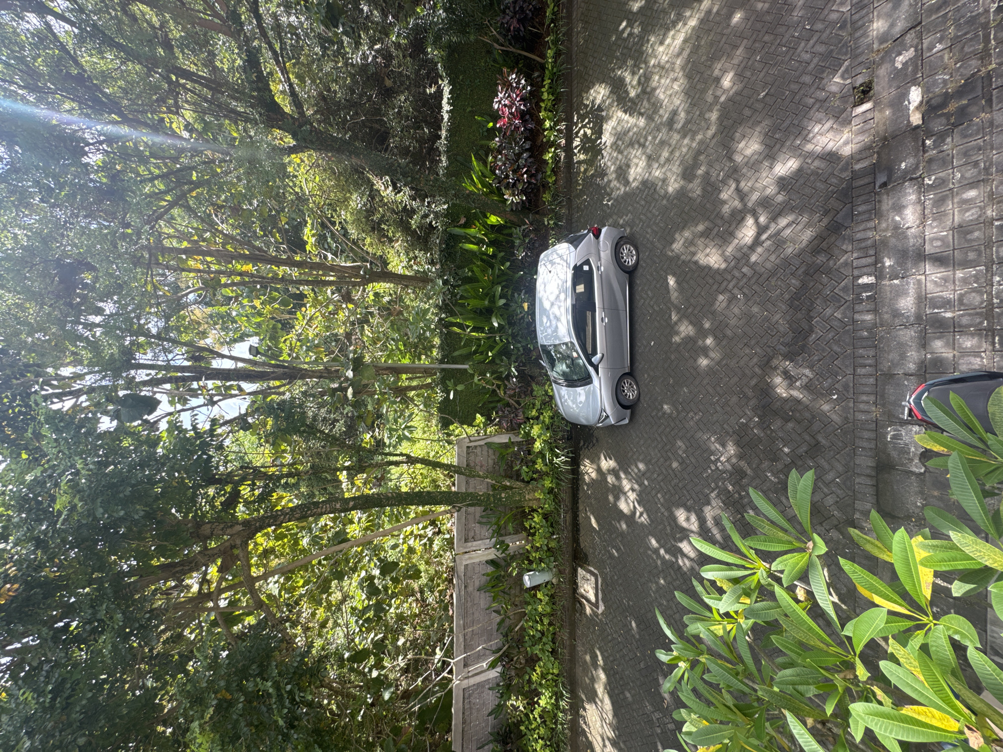 An aerial view captures a compact, silver car parked on a paved area. The vehicle is positioned near a boundary with lush greenery. Surrounding the parking area are tall trees casting shadows on the ground. The environment is characterized by a combination of vegetation and structured pavement. The scene is presumably located in Kuta Selatan, Indonesia, based on the vegetation, architecture, and paving materials that are typical of the location.