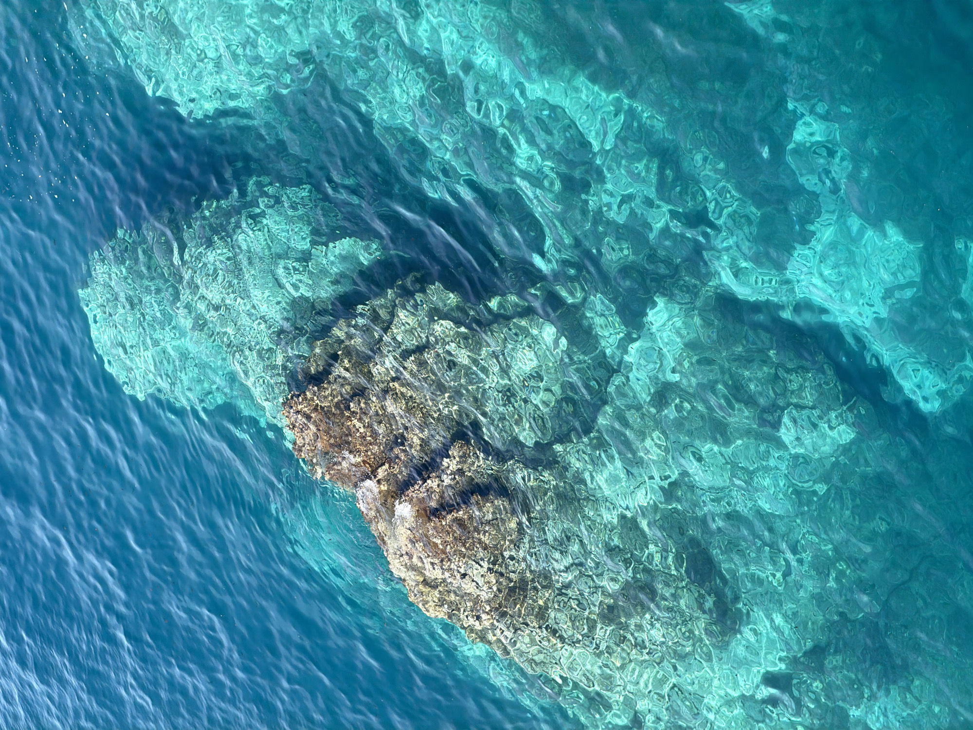 The image depicts a rocky outcrop or reef submerged in clear, turquoise water, situated in Petrovac centar, Montenegro. The water depth appears shallow, allowing visibility of the rocky structure beneath the surface. The water's surface exhibits subtle ripples and variations in color due to light refraction and underwater topography. The rocky formation consists of light-colored stone with some tan and brown hues, seemingly covered with algae or some other type of marine plant life. The surrounding water is a deeper blue, indicating deeper water, compared to the brighter, more translucent turquoise near the reef. No people, animals, or other distinct objects are apparent in the image beyond the rocks and water.