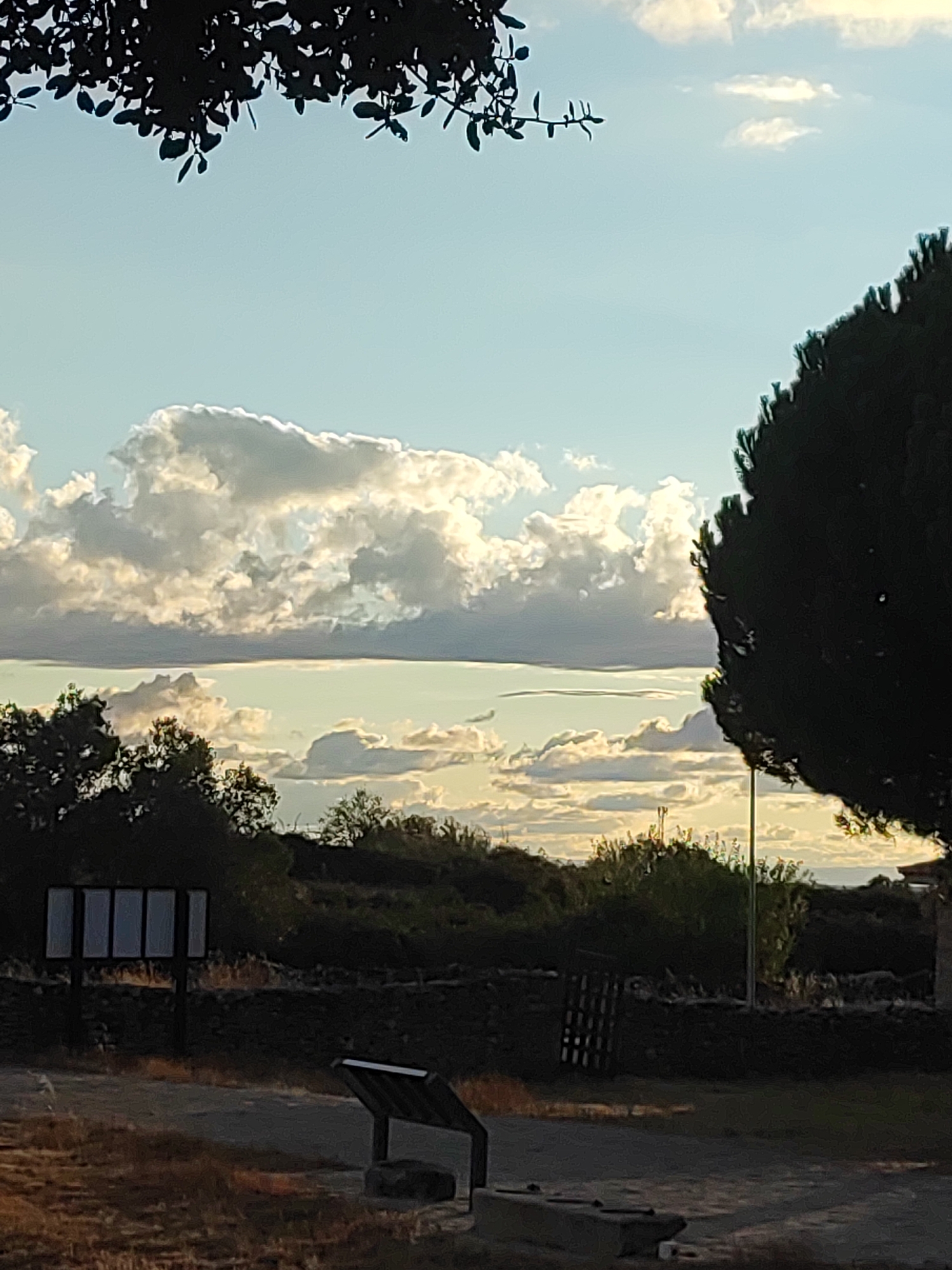 This is a landscape photograph taken in Sobradillo, Spain, with a focus on the sky and natural surroundings. The upper portion of the image is dominated by a blue sky with a band of white, fluffy clouds illuminated by the sun, creating a dramatic contrast against the lighter sky. Silhouetted against the sky are the dark leaves and branches of a tree in the foreground, suggesting it is either dawn or dusk.
Below the sky, a line of trees and vegetation forms a dark silhouette against the horizon, interspersed with patches of light. In the mid-ground, there is a low, dark stone wall. To the left of the wall, there are four dark rectangular panels mounted vertically on posts, possibly informational signs. To the right of the wall, a dark, wooden fence-like structure is visible.
In the foreground, the ground is a mix of dry grass and a paved or dirt path. On the path, to the right of the informational panels, is a dark, angular object that appears to be a bench or a small structure with a slanted top and a base. Another dark, rectangular object is partially visible in the lower right corner. The overall scene is one of natural beauty with hints of human presence through the signage and structures.