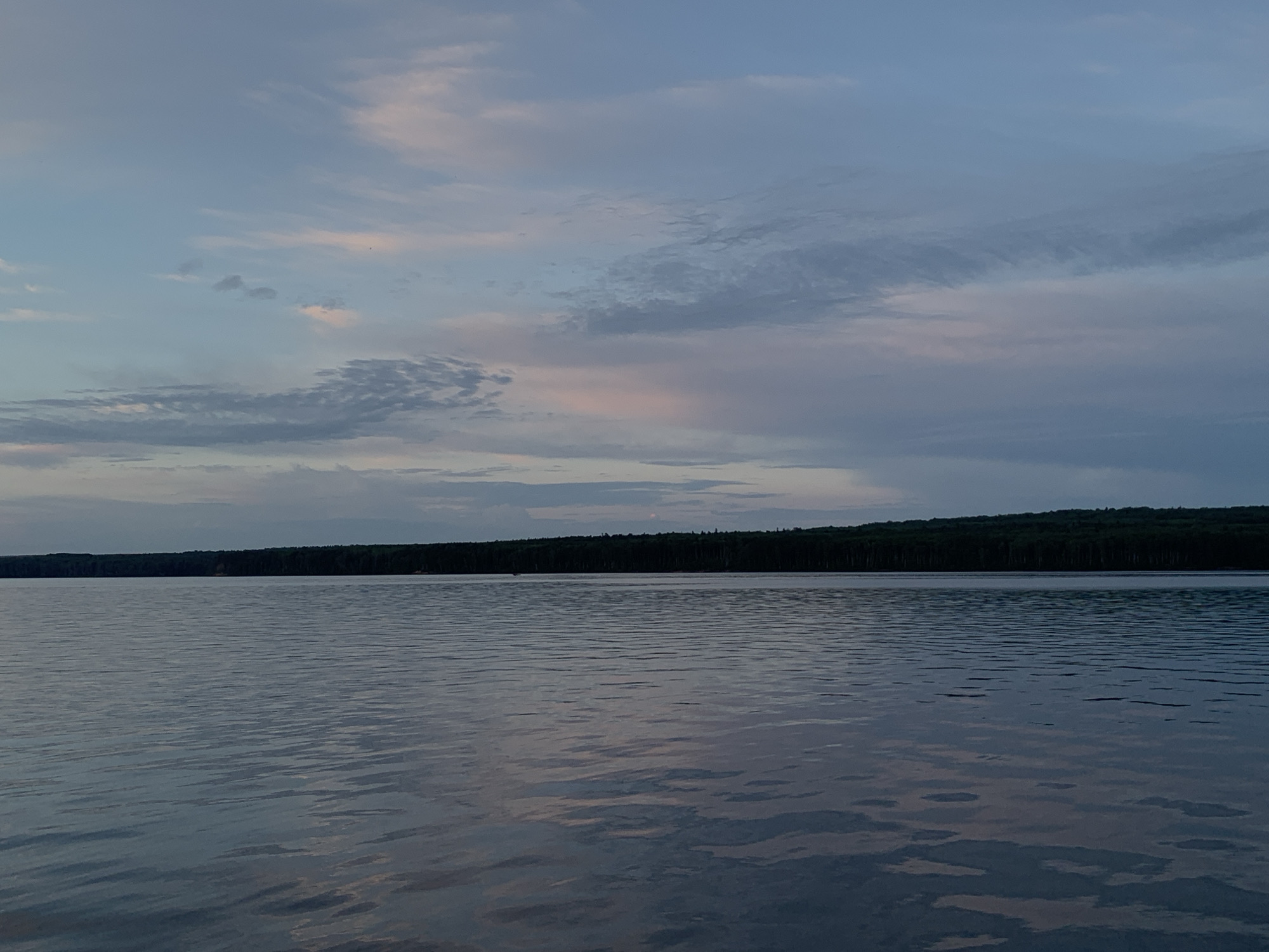 This image captures a serene natural landscape. The scene features a wide body of water, likely a lake, in the foreground. The water's surface is rippled, indicating a gentle breeze. In the distance, a dense, dark green tree line forms a distinct horizon against the sky. Above the tree line, the sky is a canvas of soft, muted colors, dominated by shades of blue and gray. Scattered clouds are visible, some appearing wispy and light, while others are more textured and elongated. Subtle hints of pink and pale orange are present in the clouds, suggesting the soft light of either dawn or dusk. The overall mood of the image is tranquil and peaceful. There are no visible people, man-made objects, or text. The time of day appears to be either early morning or late evening, given the soft lighting and sky colors. The location context of Chaikovsky, Russia, places this scene in a natural environment within that region.