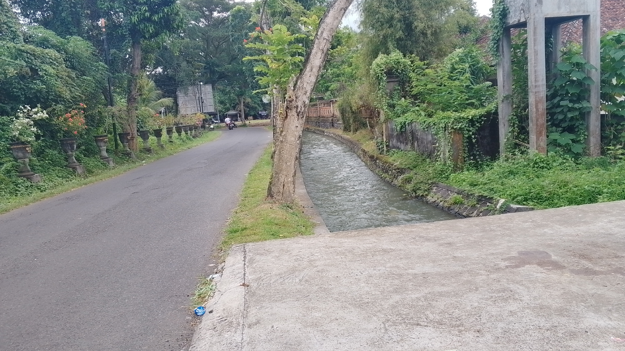 A paved road runs alongside a narrow, fast-flowing canal. The canal is bordered by a stone wall and lush green vegetation. On the left side of the road, a row of decorative planters with flowers and plants adds a touch of beauty. In the distance, a motorcycle can be seen on the road, suggesting a rural or suburban setting. The scene is dominated by trees and foliage, creating a natural and somewhat untamed atmosphere. A concrete structure, possibly part of a building or bridge, stands prominently on the right side, partially covered in vines. The sky appears overcast, hinting at a cloudy day.