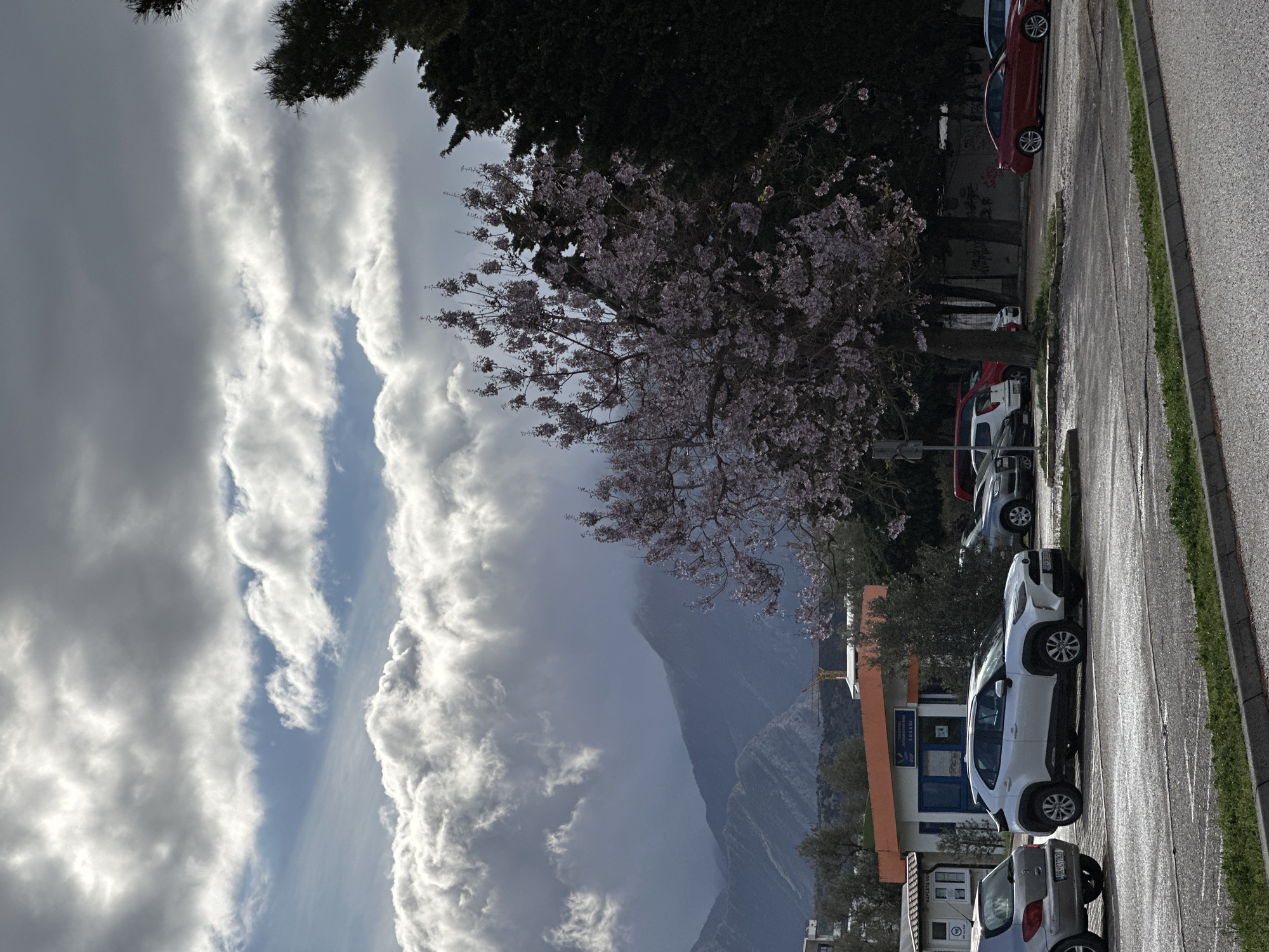 This image depicts an outdoor scene in Šušanj, Montenegro, primarily focusing on a parking area with a mountainous backdrop under a partially cloudy sky. The sky is dominated by large, bright cumulus clouds contrasting with darker grey clouds and visible patches of blue. Distant mountains, appearing hazy and partially obscured, form the background. A yellow construction crane is visible on the mountainside.
In the mid-ground, a small, low-rise building with an orange roof trim and white walls, featuring blue-framed windows and doors, is identifiable as "Naplata Vode Šušanj" (Water Bill Payment Šušanj). Trees and shrubs are scattered throughout the scene. A prominent flowering tree with light pink/purple blossoms stands on the right side, partially obscuring the view of the sky and adjacent darker evergreen trees.
The foreground consists of an asphalt parking lot, showing wet patches that reflect light, suggesting recent precipitation. Several vehicles are parked. On the far left, the rear of a silver hatchback with license plate "BR CT792" is visible. Centrally, a white SUV (specific model unknown, but visually consistent with a Toyota Yaris Cross) with license plate "BP V710" is parked. Further right, a red sedan (specific model unknown, but visually consistent with a BMW 2-series) is partially visible. Other vehicles, including a grey SUV, are parked further back. A concrete curb with a narrow strip of grass separates the parking lot from the immediate foreground. No individuals are present in the image.