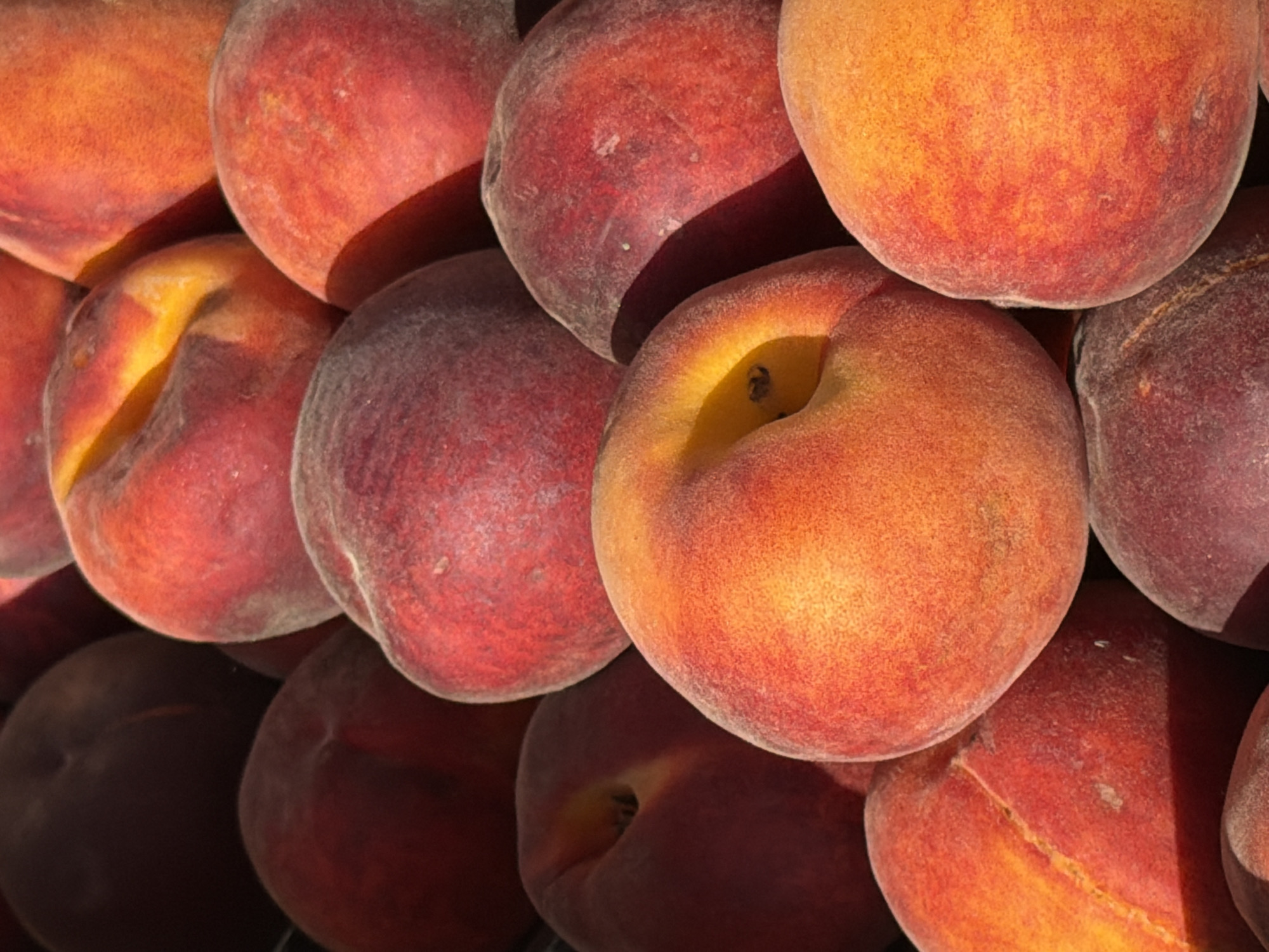 This is a close-up, overhead shot of a pile of ripe peaches. The peaches are in various stages of ripeness, with colors ranging from deep red to bright orange and yellow. The fuzzy skin of the peaches is visible, and some have a dusting of white bloom. The fruits are arranged in a way that obscures their bottoms, giving the impression of a full crate or overflowing basket. The lighting suggests it is daytime, possibly outdoors in natural sunlight, creating shadows that emphasize the roundness of the peaches. There are no people, text, or obvious location cues to suggest a specific setting beyond a place where peaches are grown or sold. The overall impression is one of abundance and freshness.