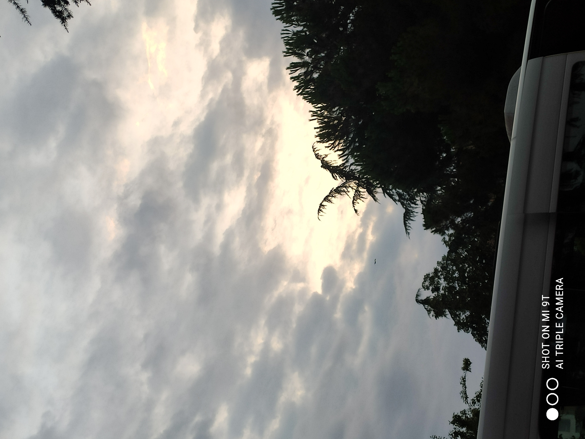 A nighttime drone shot captures a slightly overcast sky over a lush forest with a bus in the foreground. A small drone is visible flying in the distance against the cloudy sky. The bus appears to be parked, with its doors slightly ajar. The trees are dense and green, suggesting a natural setting within the city of Trabzon, Turkey. The overall ambiance is serene, with the drone's presence adding a modern touch to the natural landscape.