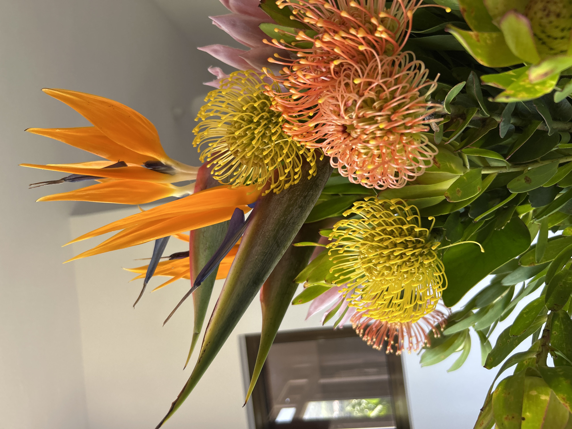 The image shows a bouquet of flowers arranged in front of a window. The flowers include Birds of Paradise (Strelitzia reginae) with vibrant orange petals and blue accents, and pincushion proteas (Leucospermum) with bright yellow and orange needle-like flower heads. There is also green foliage. The location is not in the city of Câmara de Lobos, Portugal, based on the information in the image.