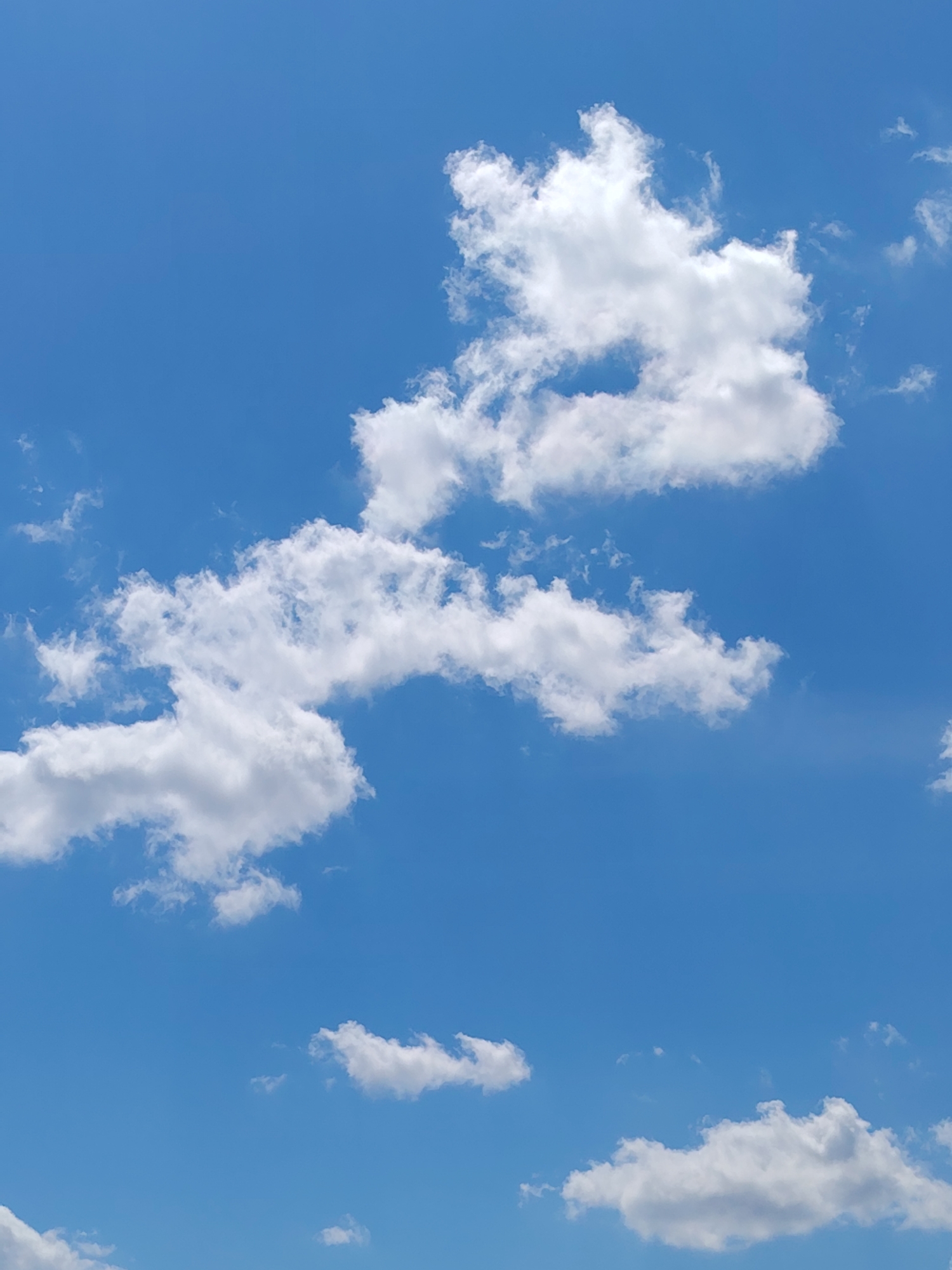 The image is a low-angle shot of a bright blue sky with scattered white cumulus clouds. The clouds are varied in size and shape, with some appearing fluffy and dense, while others are wispy and thin. The lighting suggests it is daytime, with sunlight illuminating the clouds from above. The overall scene is tranquil and atmospheric, with no man-made structures or people visible. The location is identified as Noviy, Russia.