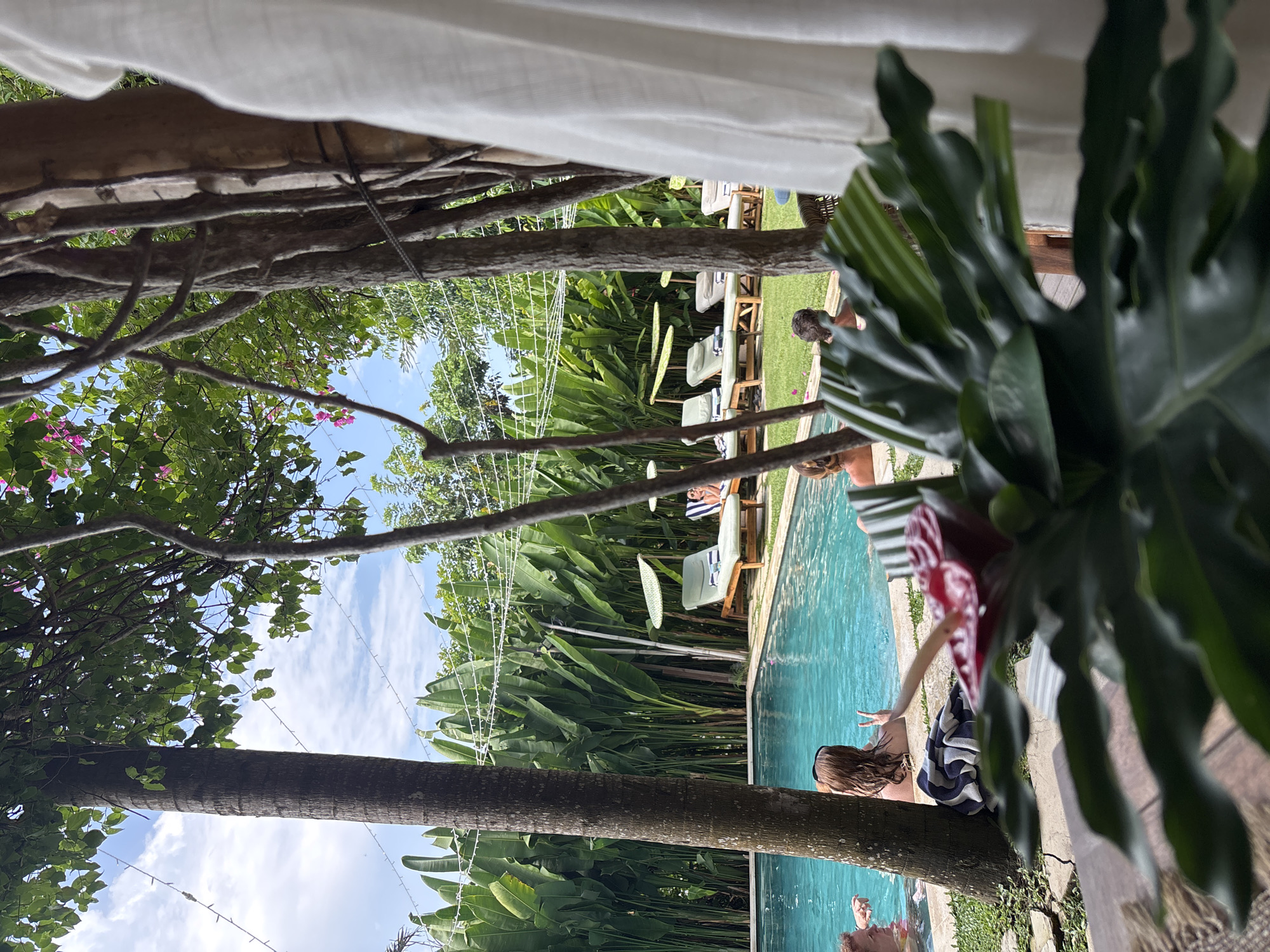 The image depicts a tropical outdoor scene, likely near a swimming pool, in Kuta Selatan, Indonesia. The camera appears to be positioned under a canopy or within a sheltered area, looking out towards the pool and surrounding greenery. A tree trunk is prominent on the left side of the frame, adorned with climbing vines.
A swimming pool occupies the central and right portions of the image. Lounge chairs with towels are arranged alongside the pool. People are seen in and around the pool, engaging in leisure activities such as swimming and relaxing.
The background features lush tropical vegetation, including tall banana plants. There are white decorative lights hung between the trees. The sky is visible through gaps in the foliage, with a light scattering of clouds.
