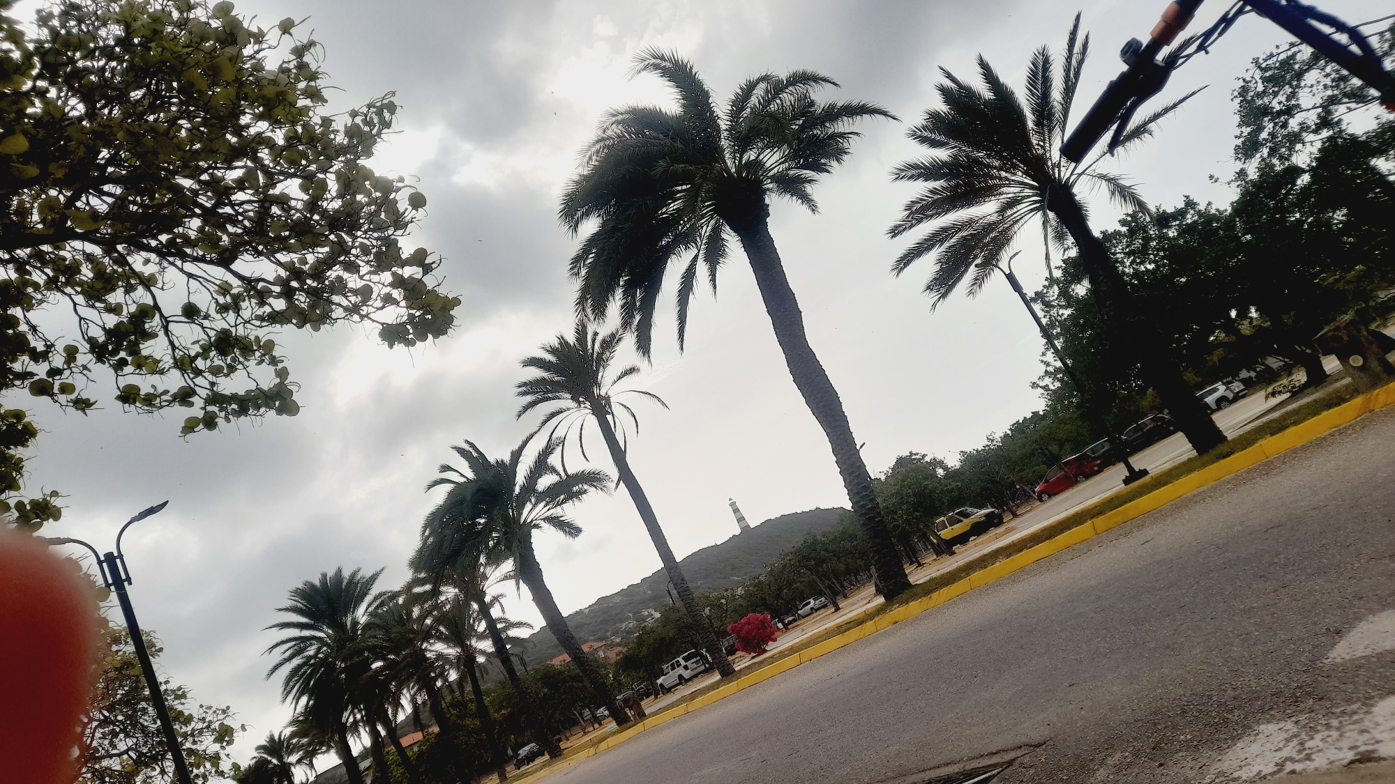 The image depicts a street scene in Pedro González, Venezuela, characterized by a cloudy sky and a prominent row of palm trees lining the right side of a paved road. The road curves slightly, with a yellow painted curb marking its edge. To the left of the road, a dense arrangement of trees with sparse, round leaves is visible in the foreground, partially obscuring the sky and a streetlamp. Further down the street, several palm trees of varying heights are silhouetted against the sky, interspersed with green foliage and the trunks of other trees. In the background, a hill is topped with a striped lighthouse. Several parked cars, including a red sedan, a white SUV, and a yellow vehicle, are visible along the side of the road, interspersed with more trees and greenery. The overall impression is a tropical, somewhat overcast day in a coastal town.