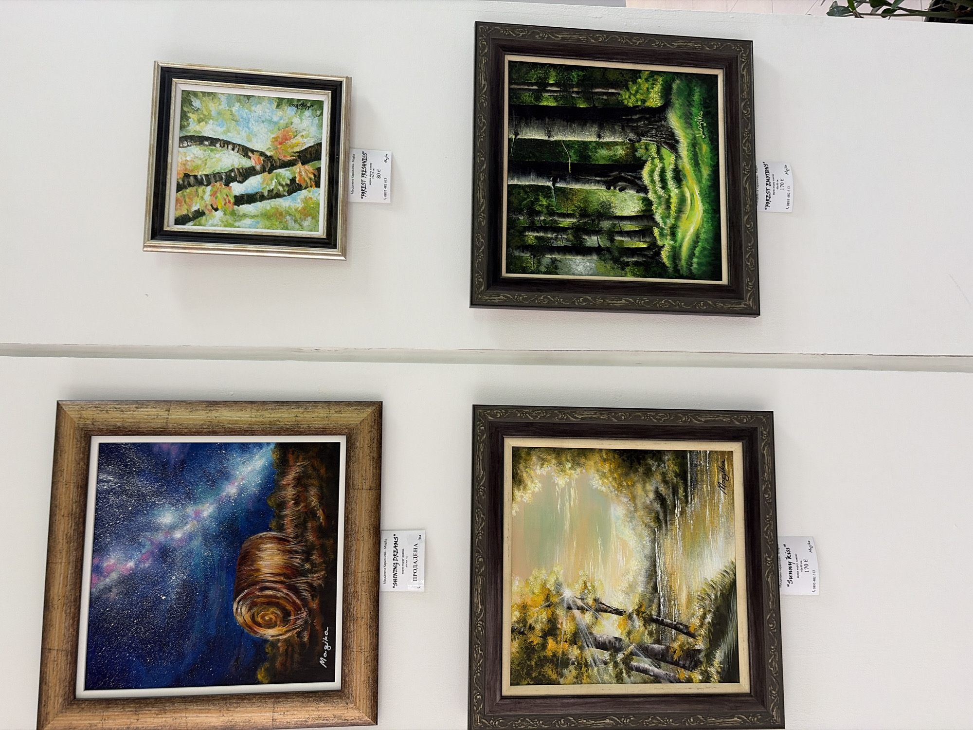 The image shows a display of four framed paintings on a white wall, possibly in a gallery or shop. The paintings appear to be by the same artist, signed "Magika". From top left to bottom right, the paintings depict: a branch with foliage against a bright background ("FOREST FRESHNESS," 80 €), a forest scene in shades of green ("FOREST EMOTIONS," 170 €), a starry sky and a swirling rock formation ("SHINING DREAMS," SOLD), and a light-filled landscape with trees and branches ("Sunny kiss," 170 €). Price tags and other details are visible on each painting. There's no evidence to confirm this scene is in Plovdiv, Bulgaria. The location can be inferred if there are business cards with an address.