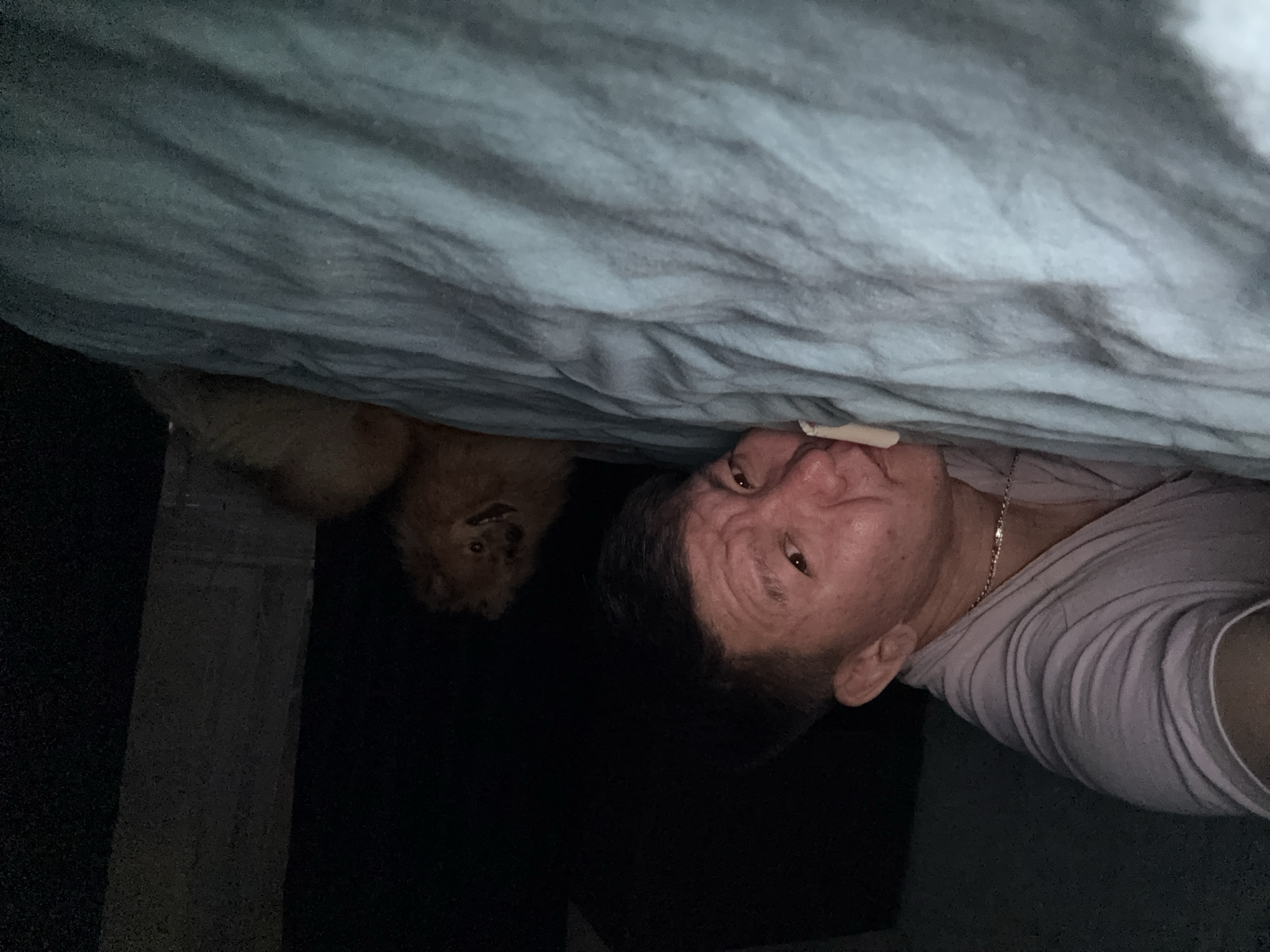 An upside-down photo shows a man and a dog under a sheet. The man is on the right side of the image, facing the camera, wearing a light-colored t-shirt and a silver chain. The dog is on the left, partially obscured by the sheet. The background is dark, with a vertical grey object to the left. The location is not identifiable from the image.