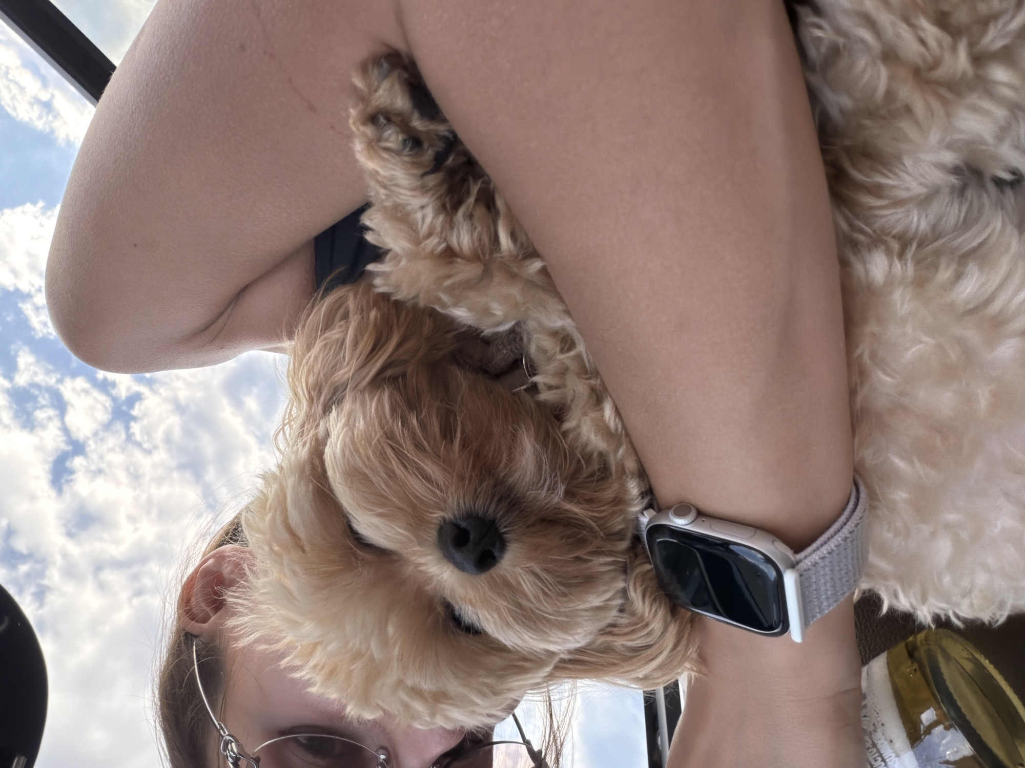 In a close-up, outdoor shot with a blurred sky in the background, a person is holding a small, light brown dog. The person's arm is wrapped around the dog, and the dog is nestled against their chest. The person is wearing glasses and a wristwatch. A partially visible beer bottle is in the lower left corner. The scene is likely outdoors, perhaps in a park or a vehicle given the perspective and lighting, but there are no specific indicators to pinpoint the location to Терехово, Russia.