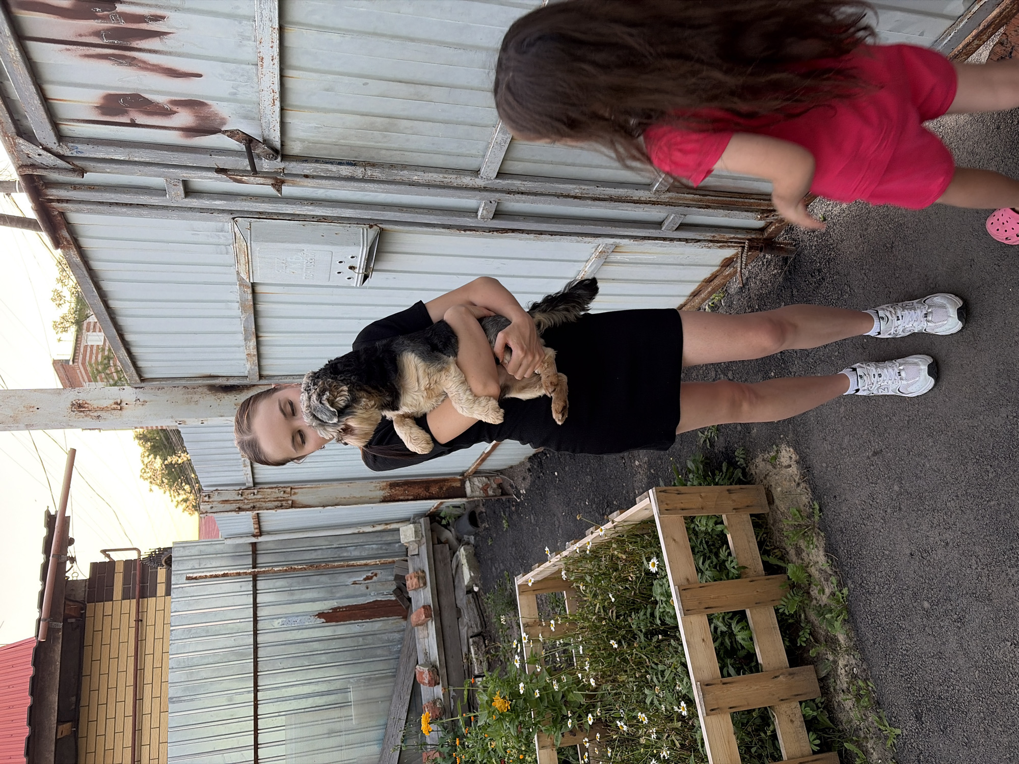 In Tambov, Russia, a young woman in a black dress and white sneakers holds a fluffy dog while standing in a yard. A young girl in a pink outfit is visible to her right, her back turned to the camera. The background features a weathered metal fence, a small garden with white flowers and yellow marigolds, and a brick building. The ground is covered in asphalt. The lighting suggests it is late afternoon or early evening.