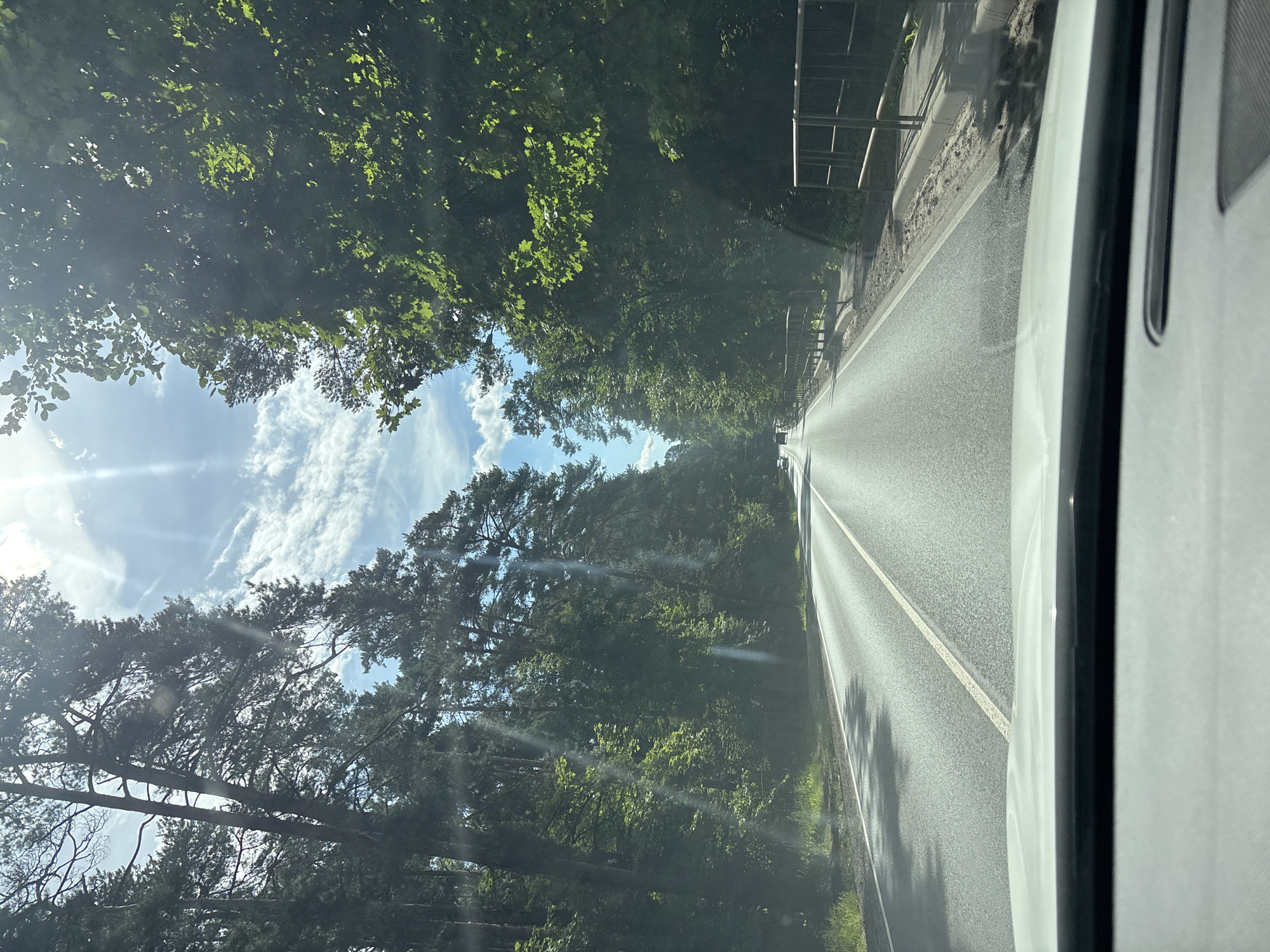 The image shows a view from the driver's seat of a vehicle on a paved road in Сосны, Russia. The road is flanked by dense forest on both sides, with tall pine trees on the left and leafy trees on the right. The sun is shining brightly, with rays of light filtering through the trees and clouds in the sky. There is a white line marking the center of the road, and the road surface appears to be in good condition. There is a metal railing along the right side of the road, separating it from a sidewalk or path. A few cars are visible in the distance on the road. The overall scene suggests a scenic drive through a wooded area.