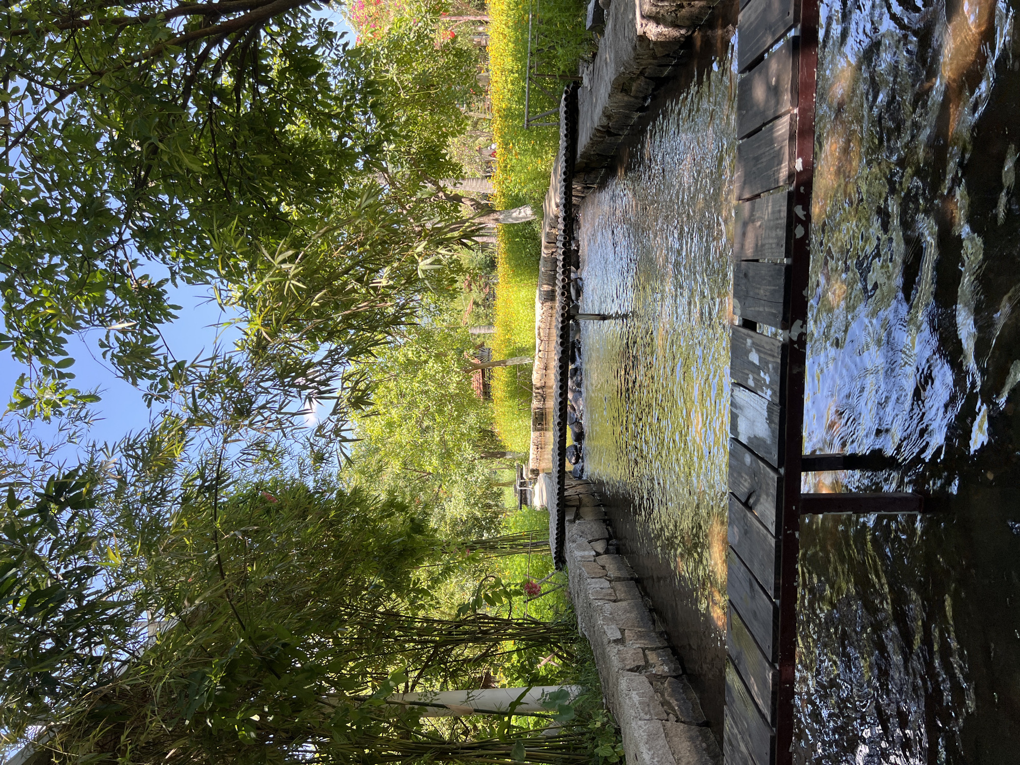 The image depicts a tranquil outdoor scene in Nam Cam Ranh, Vietnam. A narrow, stone-lined channel of water flows through a lush, green environment. Two simple, wooden bridges cross the water, the closest one in the foreground constructed from planks laid across a dark metal frame, supported by a single leg in the water. The water itself is clear, with sunlight dappling its surface, revealing glimpses of darker areas beneath.
On either side of the channel, the banks are lined with rough-hewn stones. Lush vegetation dominates the scene, with tall bamboo stalks to the left, their slender leaves reaching towards the sky, and leafy trees with dense canopies providing shade. In the background, beyond the second bridge, a vibrant field of yellow flowers stretches out, bordered by more trees and some distant structures, suggesting a park or garden setting. The sky is a clear, bright blue, indicating a sunny day. The overall impression is one of natural beauty and peacefulness.