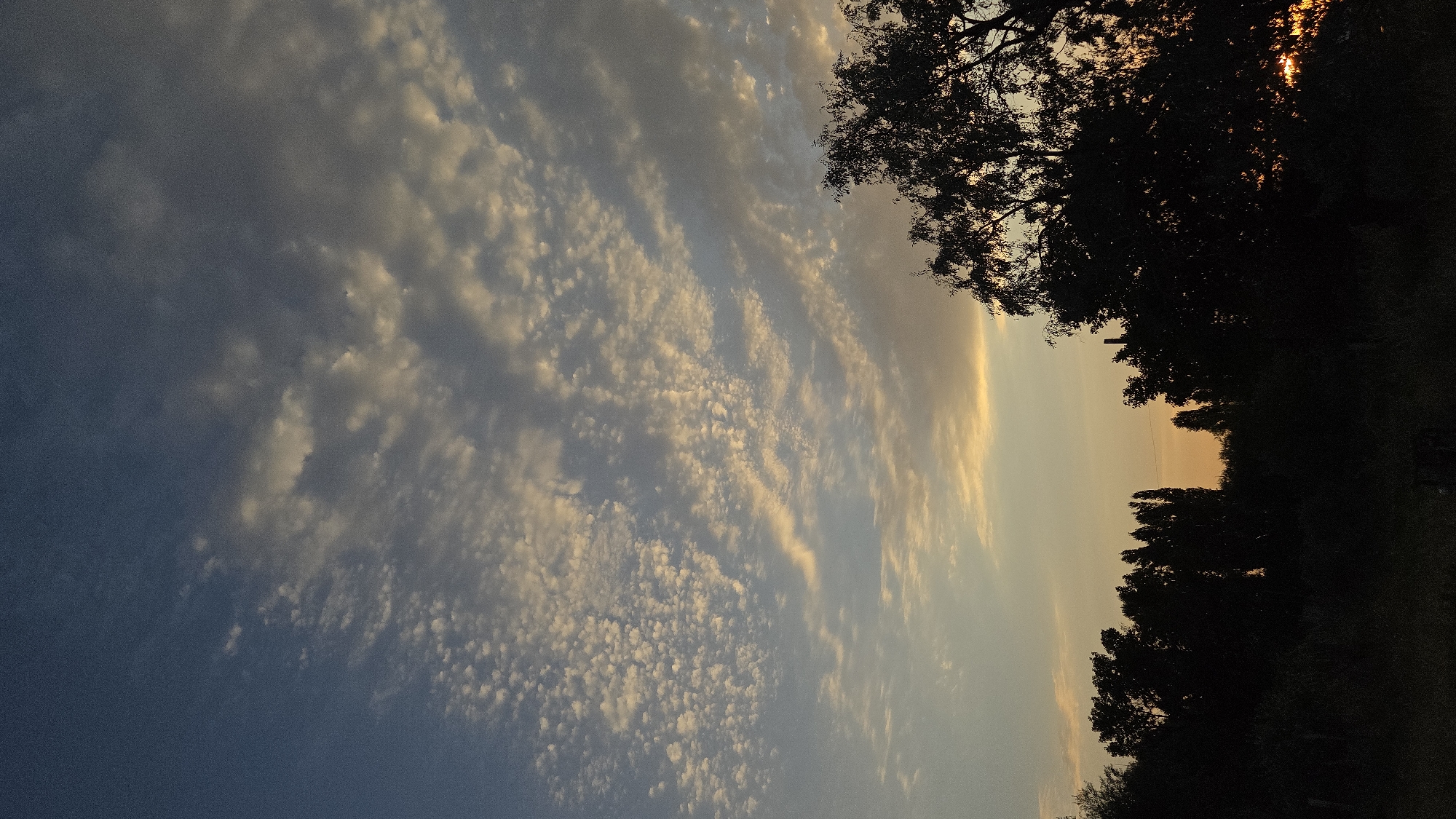 The image captures a silhouetted landscape against a dusk sky in Қозмолдақ, Kazakhstan. The sky is a gradient of deep blue at the top, transitioning to lighter blues and oranges near the horizon, filled with scattered, wispy clouds that catch the fading sunlight. In the foreground, a dense line of trees and foliage forms a dark silhouette against the brighter sky. The trees vary in height and density, with some appearing tall and slender, while others are broader and more rounded. The overall impression is one of a serene, natural environment at the end of the day. There are no people or active subjects visible in the image.