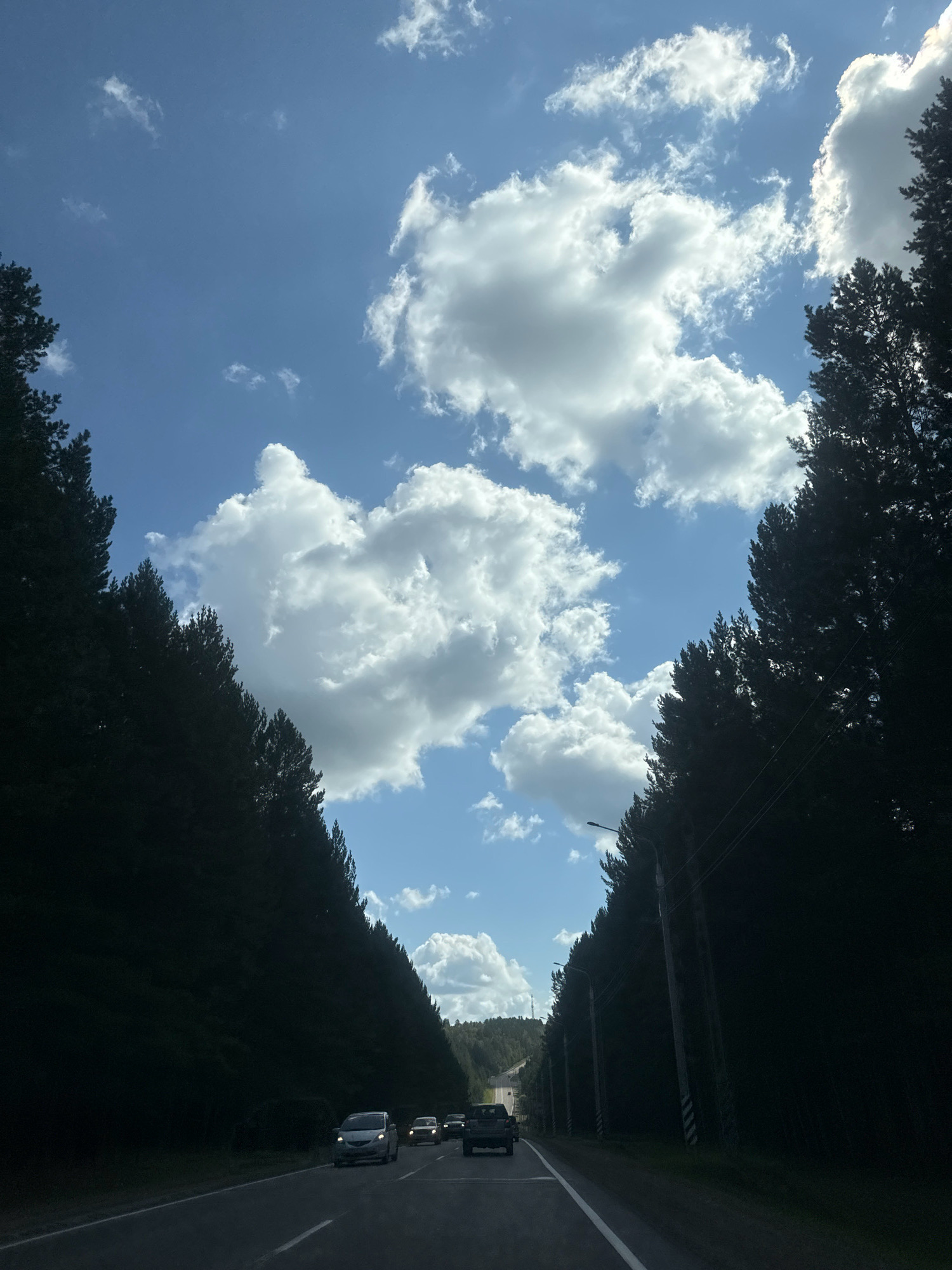 The image depicts a view from a vehicle driving on a paved road through a dense forest. The road has white lane markings. On either side of the road, tall, dark green coniferous trees line the path, creating a tunnel-like effect. The sky above is a clear blue with scattered white cumulus clouds, some of which are large and puffy, while others are wispy. Sunlight filters through the clouds and trees, casting some areas into shadow. Several vehicles are visible on the road ahead, moving in the same direction. On the right side of the road, there are utility poles with wires. The overall impression is of a scenic drive through a wooded area on a bright, partly cloudy day. The specific location is the road leading to Patrony, Russia, as indicated by the provided information.