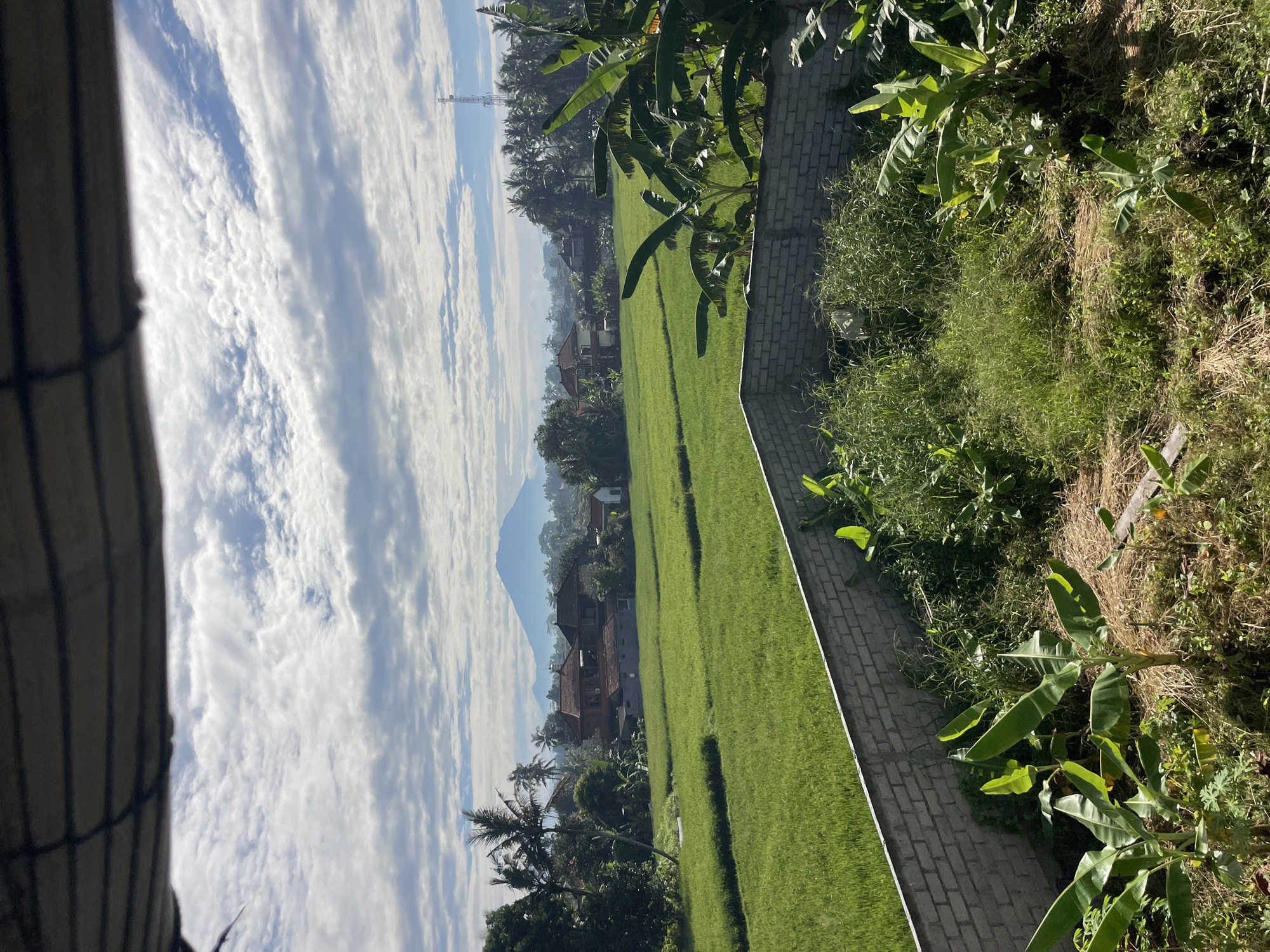 This serene landscape image captures a vibrant green expanse of rice paddies under a dynamic sky, likely depicting a tropical rural area.
In the midground, expansive, verdant rice fields stretch towards a majestic, hazy mountain or volcano in the distance. The sky above is a clear blue, filled with numerous white, textured clouds that create a sense of depth. Below the clouds, several traditional-style houses with reddish-brown tiled roofs are visible, nestled among dense trees and palm foliage, suggesting a small village or settlement. A tall communications tower can be faintly seen on the distant horizon, indicating a touch of modern infrastructure within the natural setting.
To the right, a neatly paved pathway made of light grey bricks runs alongside the rice paddy, separating it from an overgrown bank of mixed green and dry grasses. Lush tropical vegetation, including prominent banana plants and various palm trees, frames the scene, particularly on the right side and in the background. On the far left, a dark, striped structure, possibly part of a building exterior or a fence, partially obstructs the view.
The lighting suggests a bright morning or late afternoon, with soft, natural illumination creating a peaceful atmosphere. No people or specific activities are depicted, focusing instead on the tranquil beauty of the natural and semi-rural environment. The scene evokes a sense of calm and natural splendor. No text is visible in the image.