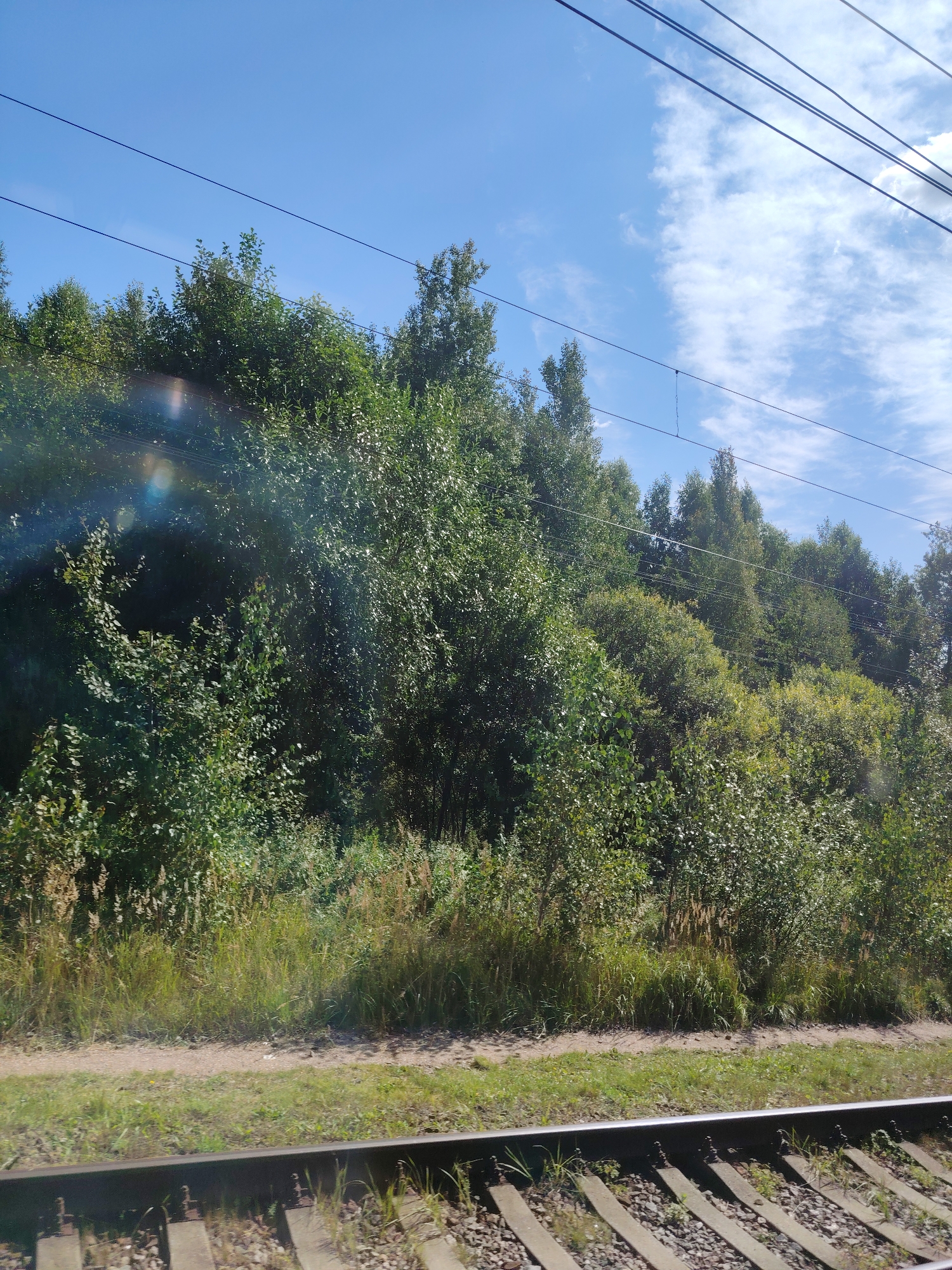 The image captures a view of trees and overhead power lines, possibly taken from a moving train. The foliage is dense and green, suggesting a summer or early autumn setting. The sky is a bright blue with scattered white clouds. In the foreground, a section of railroad tracks is visible, indicating the vantage point. The scene appears to be set in a natural environment adjacent to a railway line, likely in the vicinity of 2-е Моховое, Russia, given the context provided. There are no people or specific structures of interest in the frame. The lighting suggests it is daytime, possibly late morning or early afternoon.