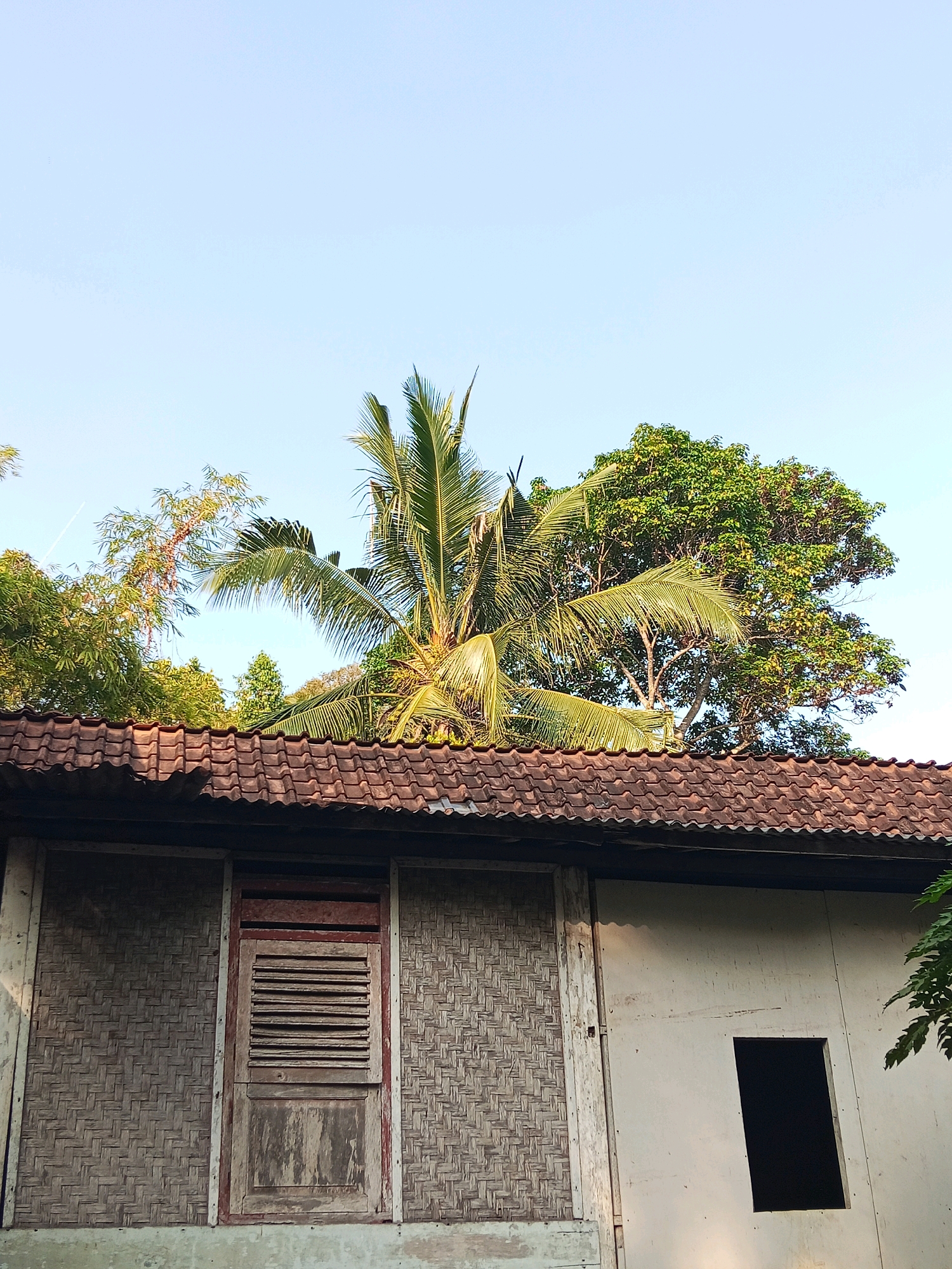 The image depicts the exterior of a building with a tiled roof, likely in Langgongsari, Indonesia. The building's wall on the left is covered with woven bamboo, featuring a wooden window with louvers. To the right, the wall is made of a light-colored material, with a dark, rectangular opening that appears to be a window or doorway. Lush green trees and a palm tree are visible behind and above the building, silhouetted against a clear, pale blue sky. The scene suggests a rural or semi-rural setting.