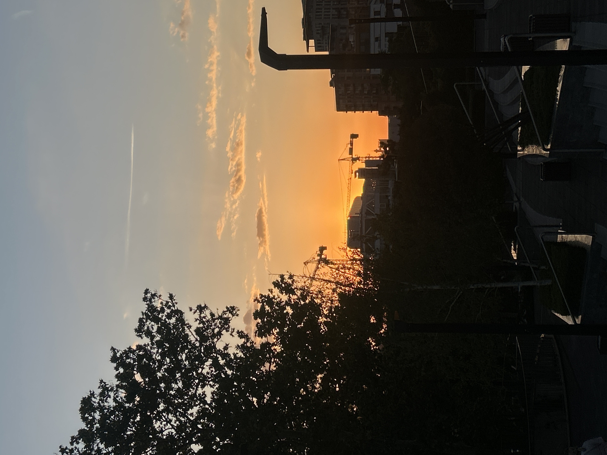 The image depicts a sunset in Belgrade, Serbia. In the foreground, there is a dark silhouette of a tree and street lamps. In the background, buildings and construction cranes are visible, silhouetted against the orange and yellow sky. The sky is blue on the left side, with faint clouds near the center. A contrail is visible in the upper left. The image is vertically oriented.